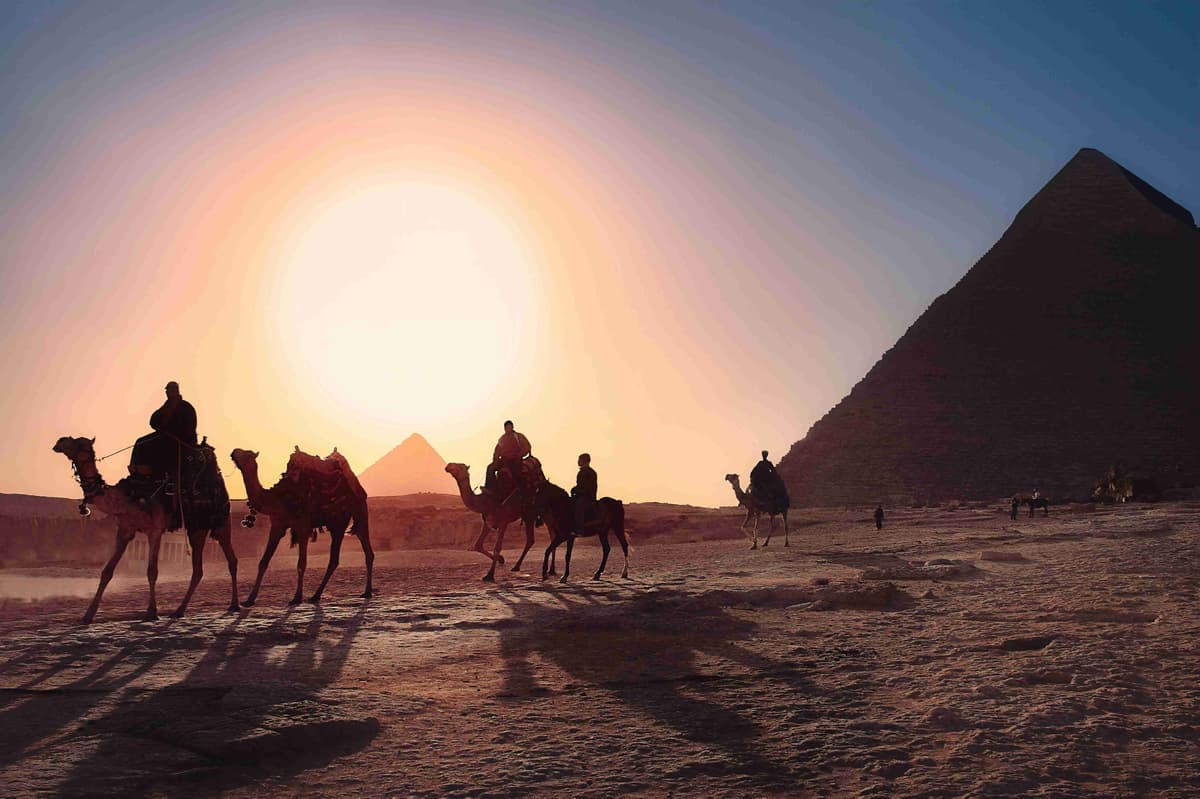 Camel Caravan Silhouettes at Sunset with Giza Pyramids
