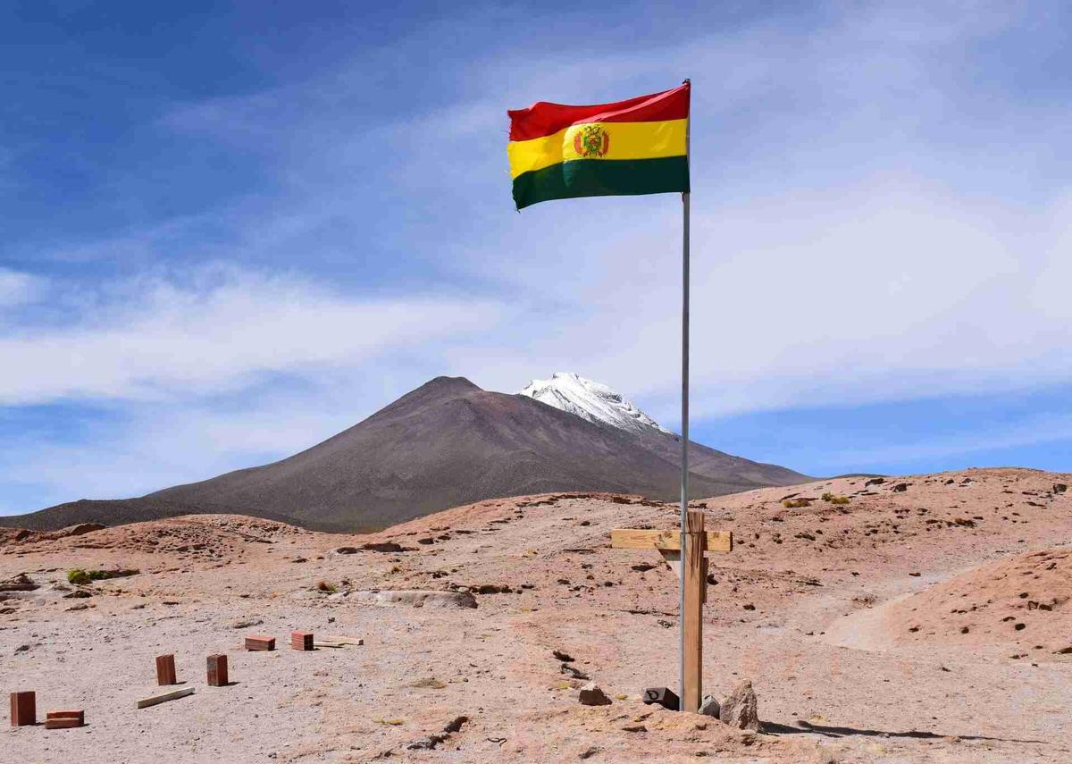 القيادة في بوليفيا