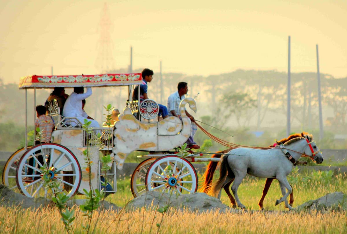 Traditional Horse-Drawn Carriage Ride at Dusk
