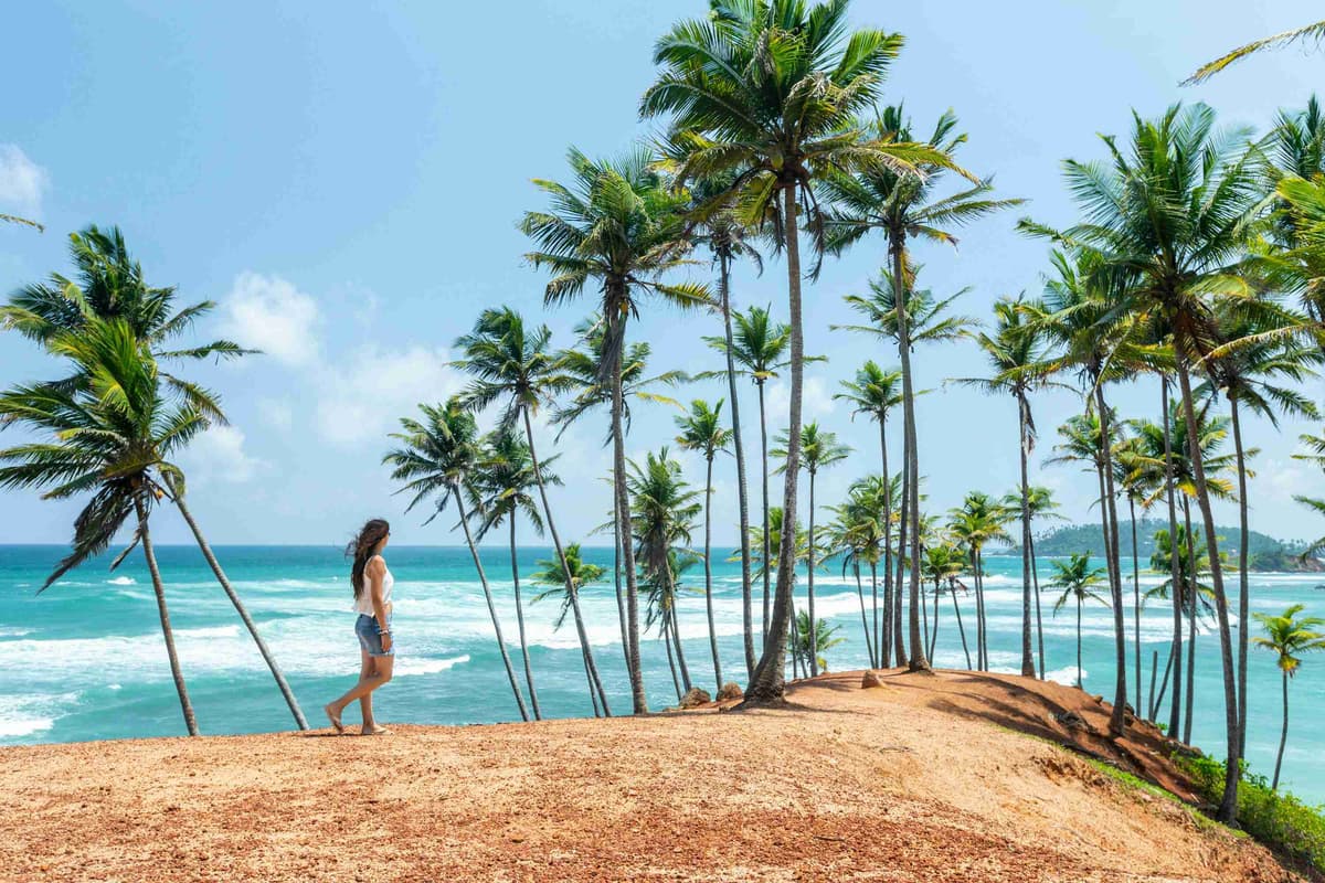 أشجار النخيل على الشاطئ الاستوائي مع امرأة تمشي