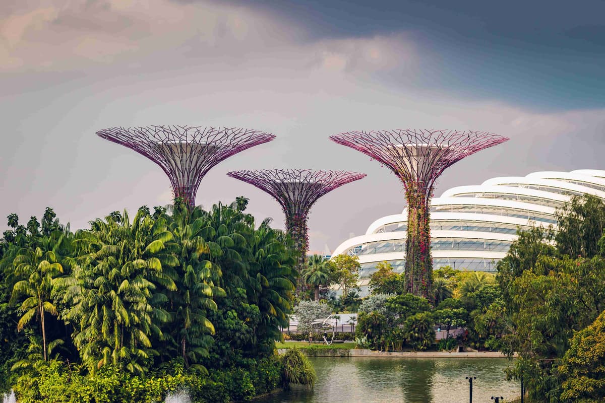 Supertree Grove في Gardens by the Bay، سنغافورة مع قباب مستقبلية.