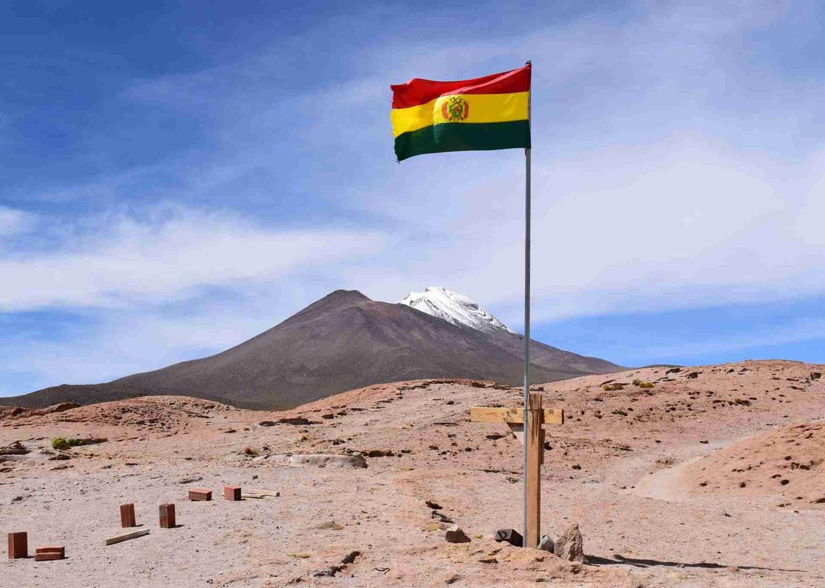 مجوز بین المللی رانندگی بولیوی