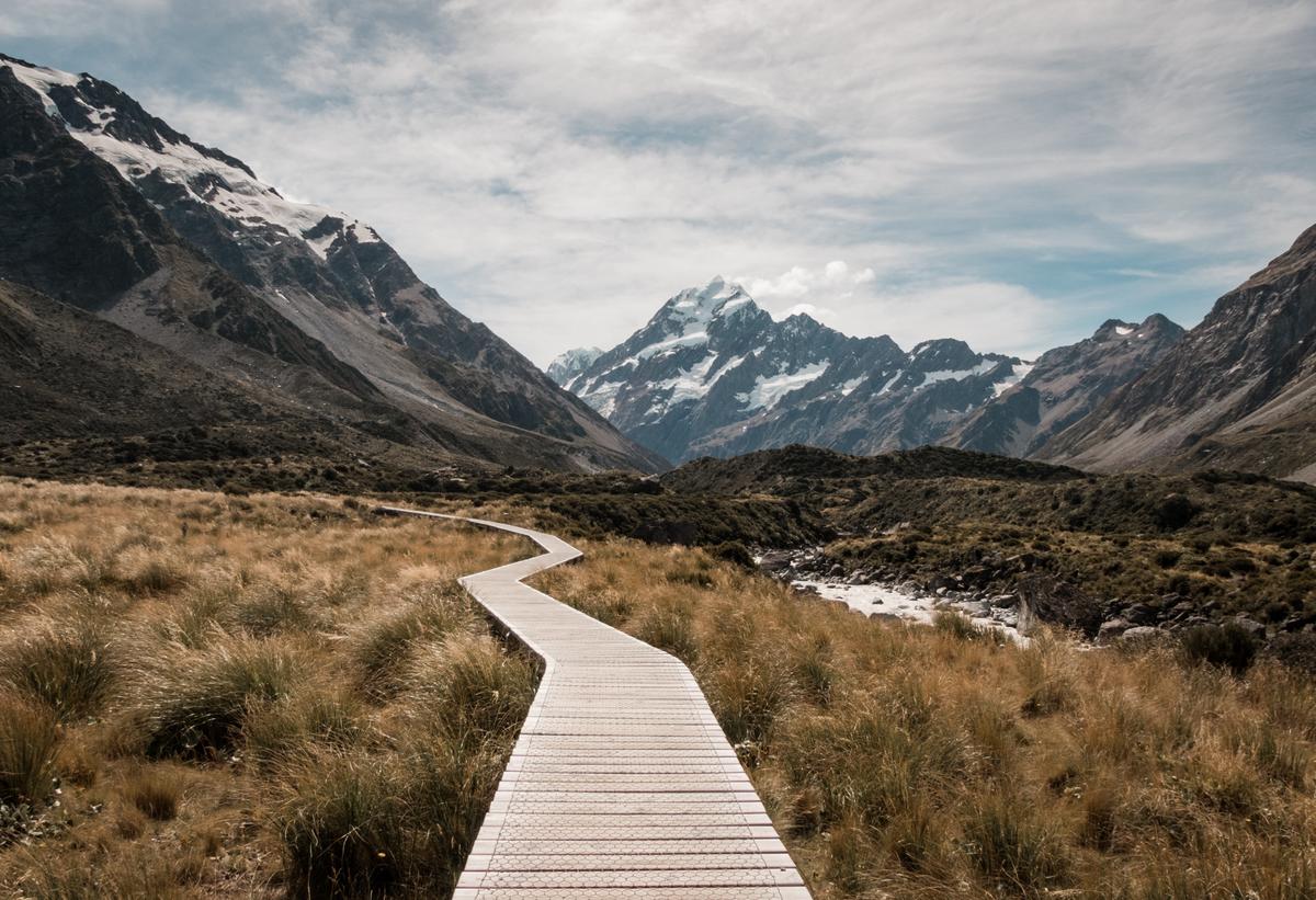 نیوزلند عکس تایلر لاستوویچ
