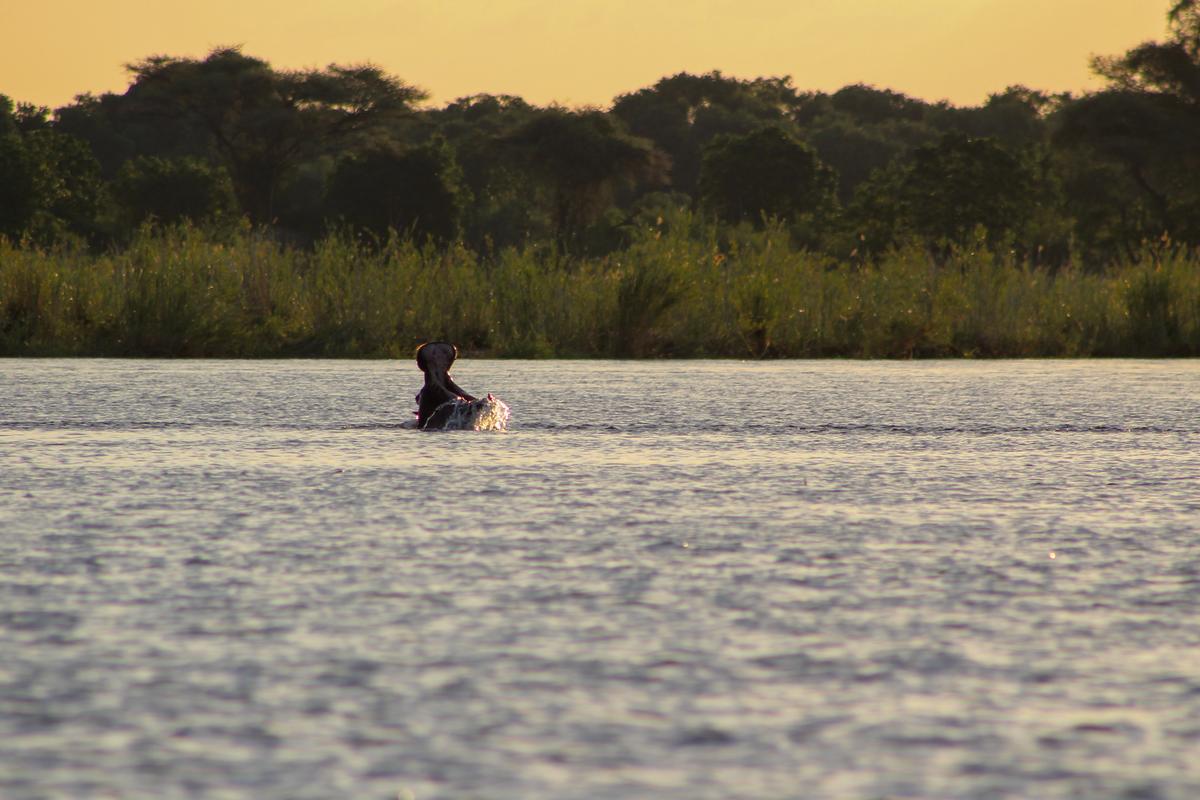 foto do rio Zambeze
