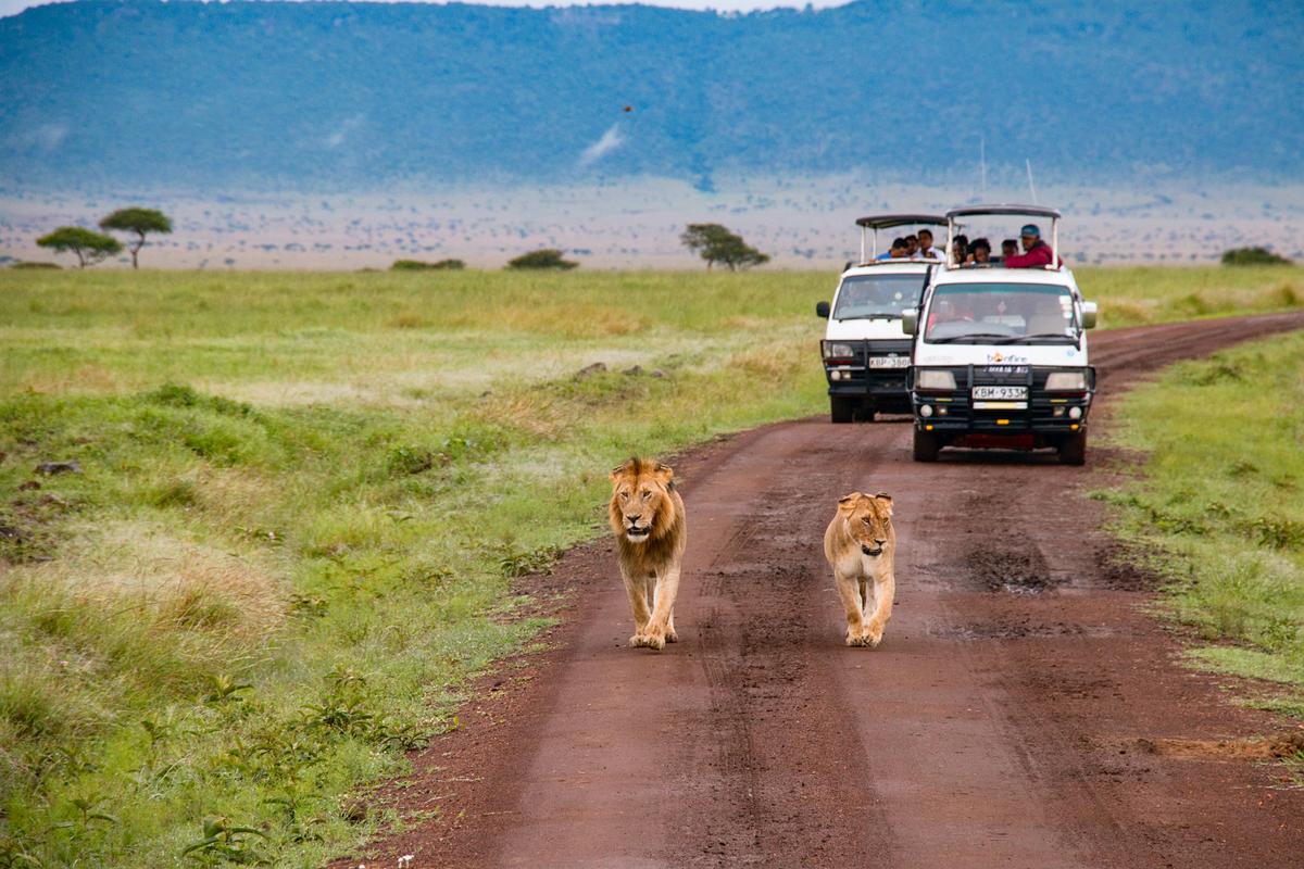Masai Mara Game Reserve Kenya عکس کریگ استیونسون