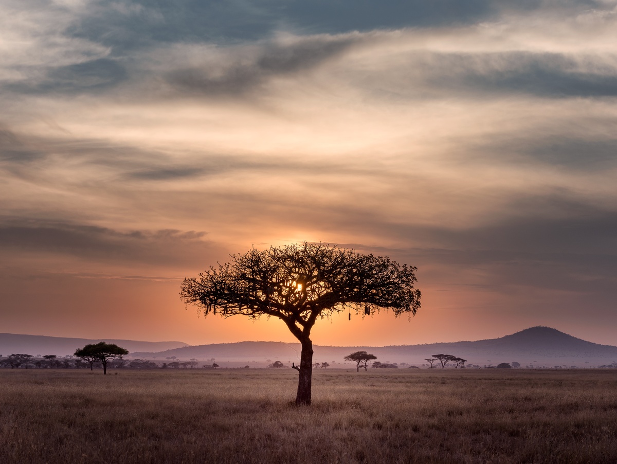Afryka Zdjęcie autorstwa Hu Chen