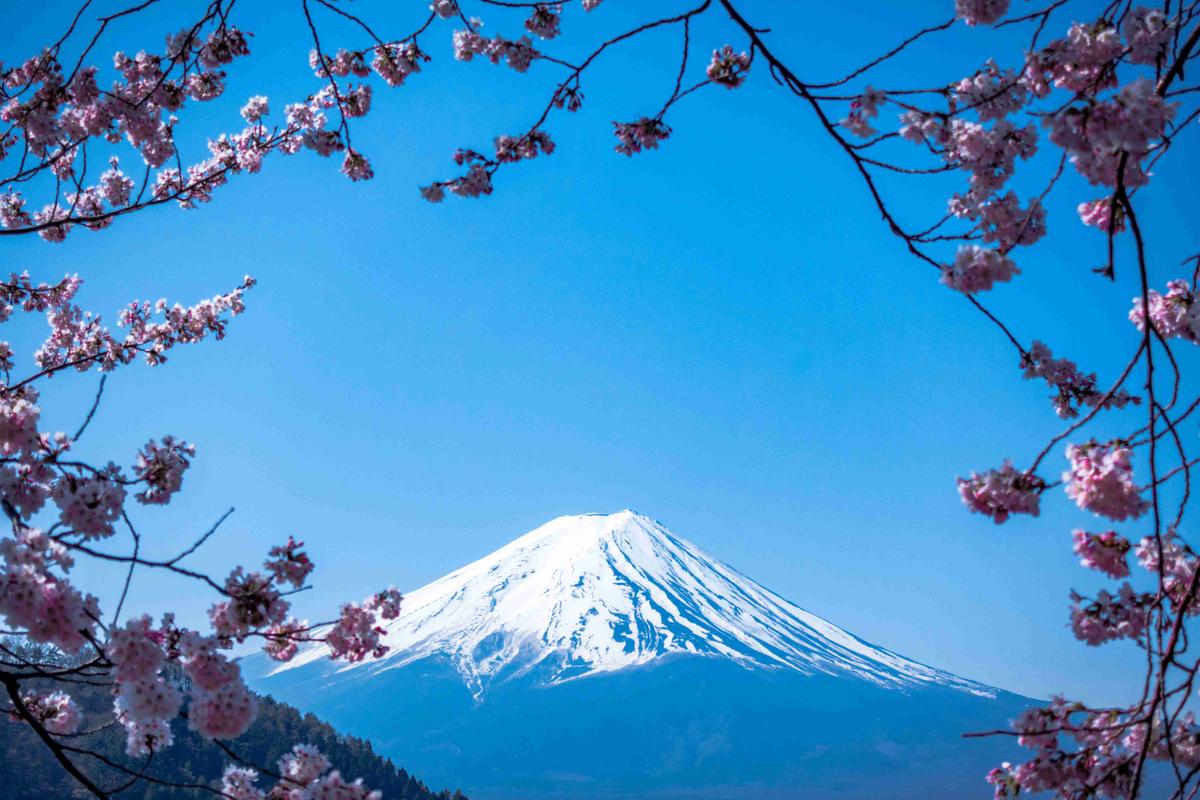 Fuji kalnas, Japonija