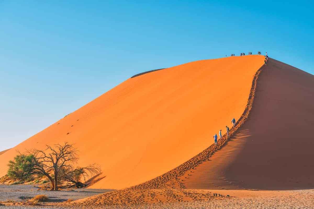 Namibya Sürüş Rehberi illüstrasyon