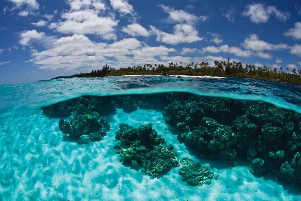 New Caledonia Hintergrundillustration