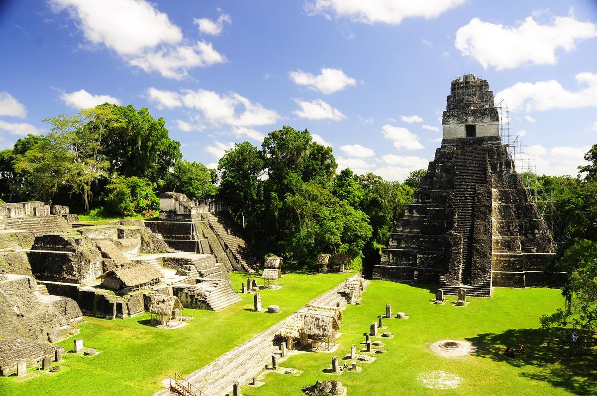 Maya-Tikal-Hector-Pineda Harabeleri
