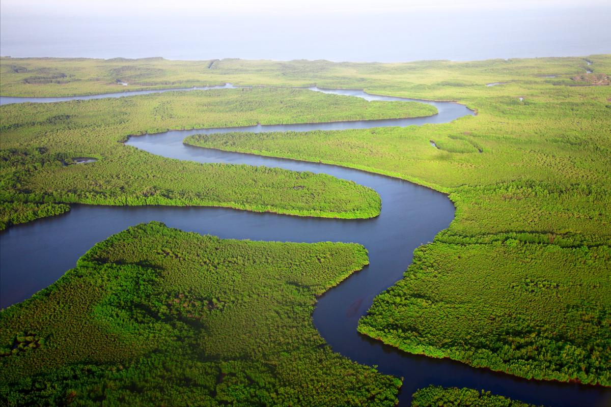 Gambia River door Dan Roizer