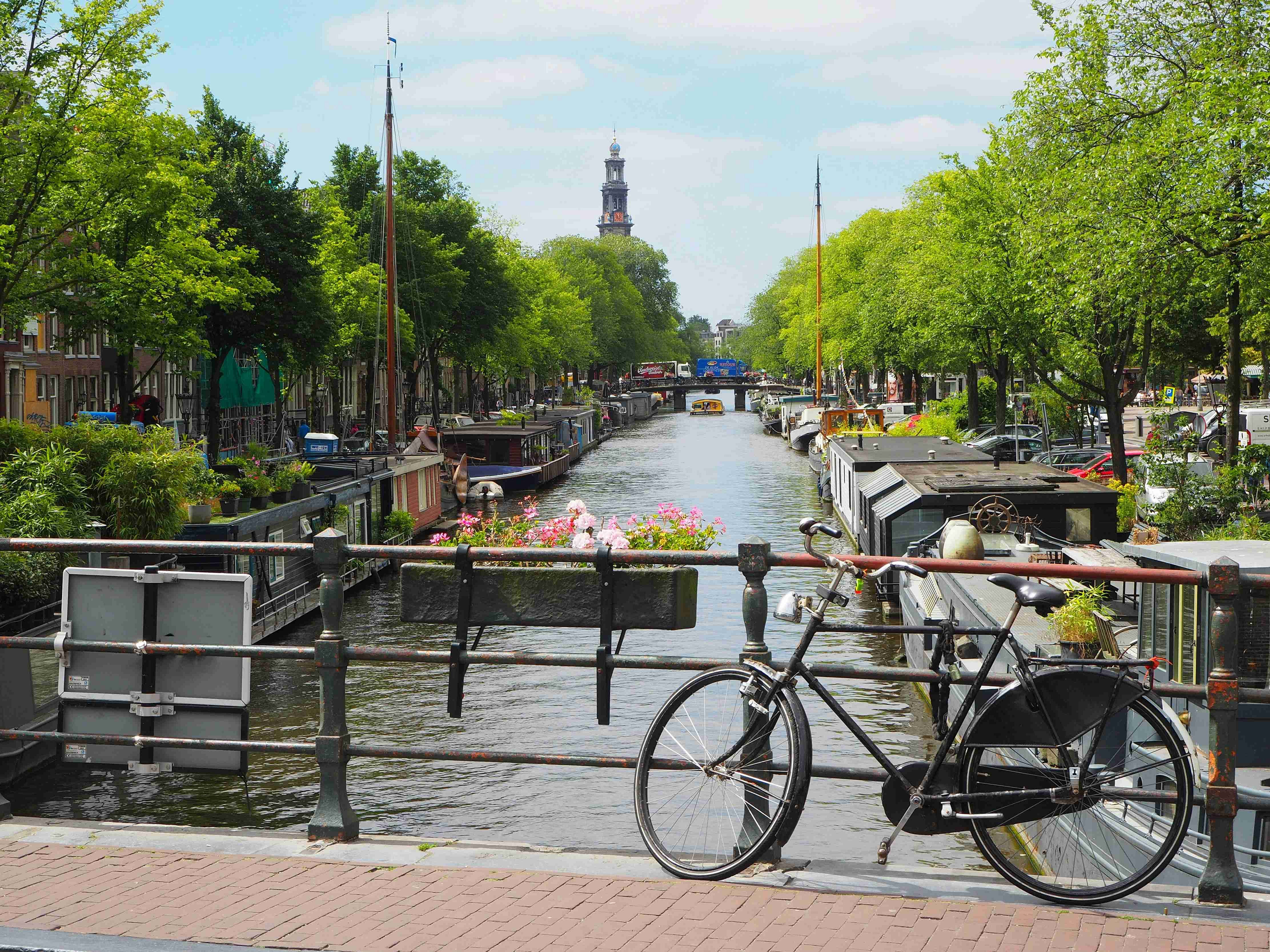 How To Rent A Car In Netherlands