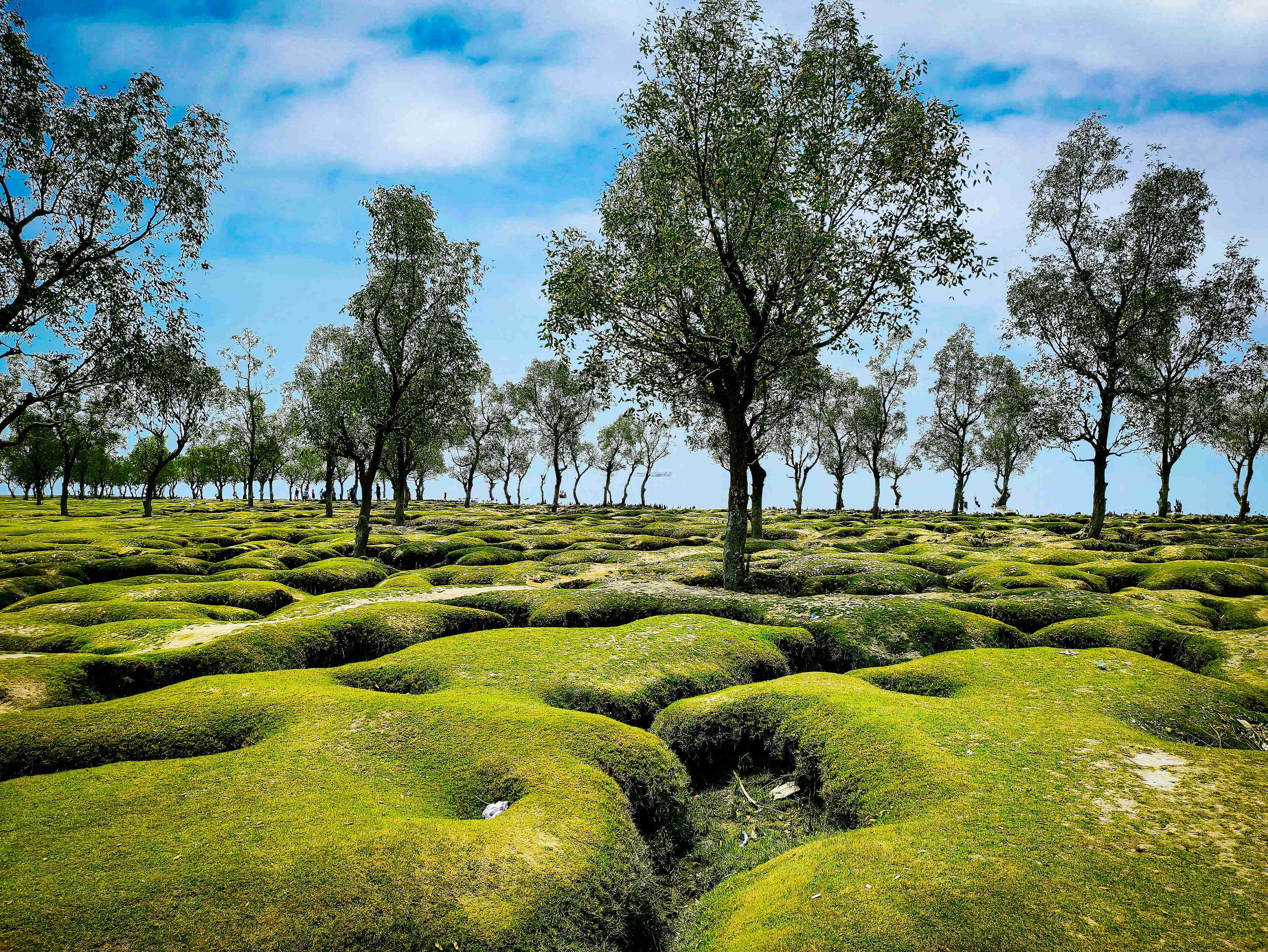 The Best Time to Visit Bangladesh