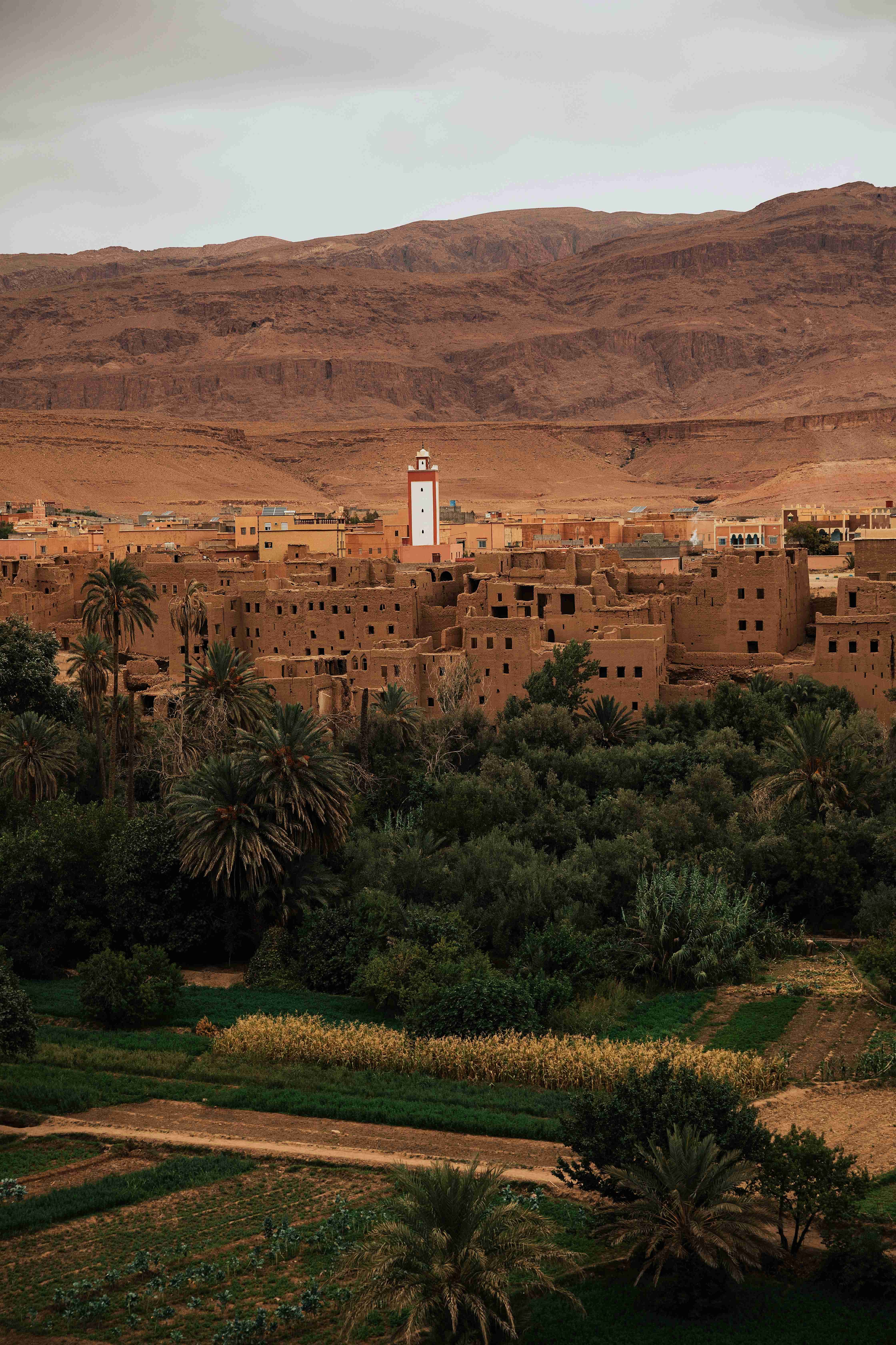 Best Hotels to Check Out in Morocco: 2024 Ultimate Guide