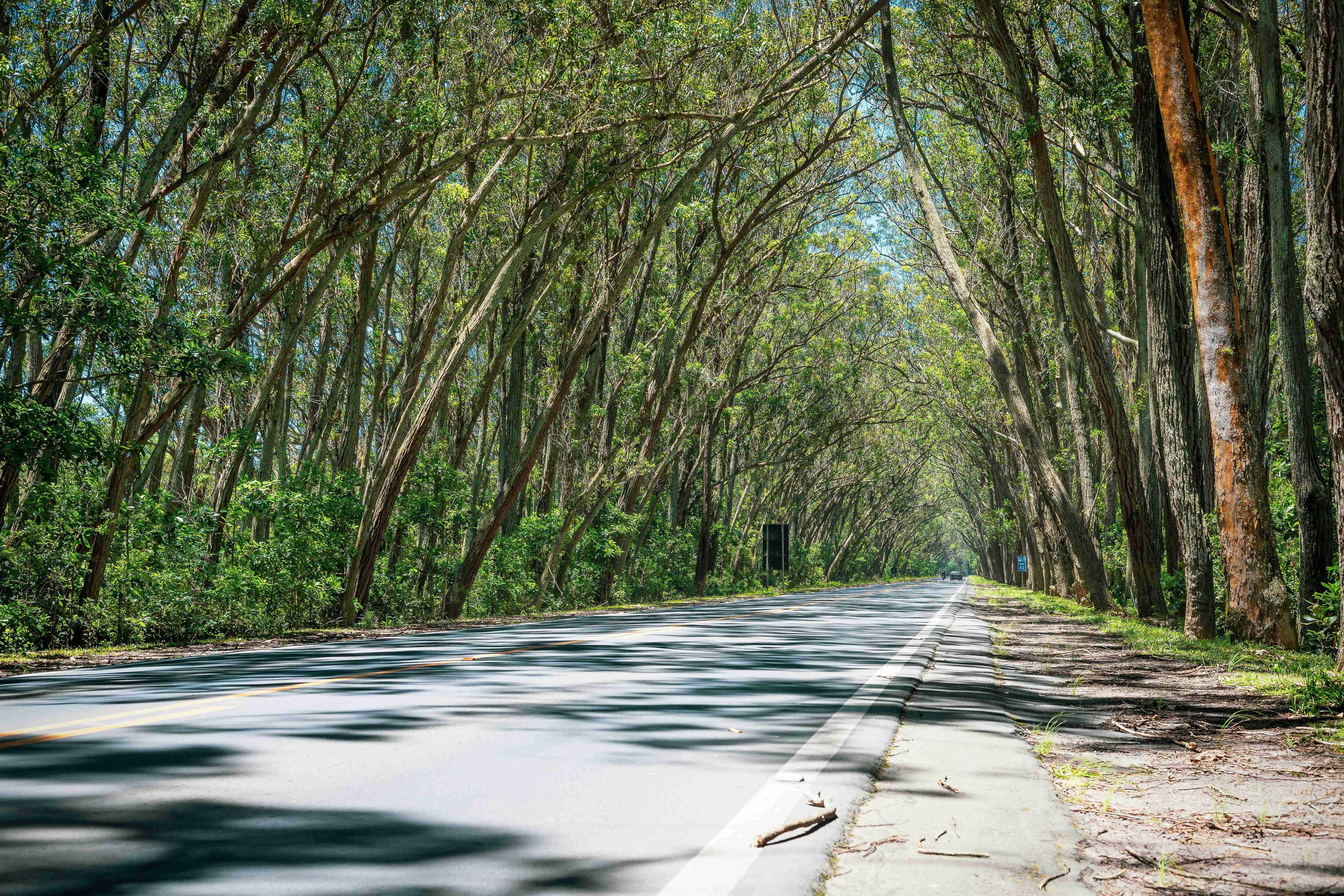 Best Car Insurance in Brazil: Top Choices
