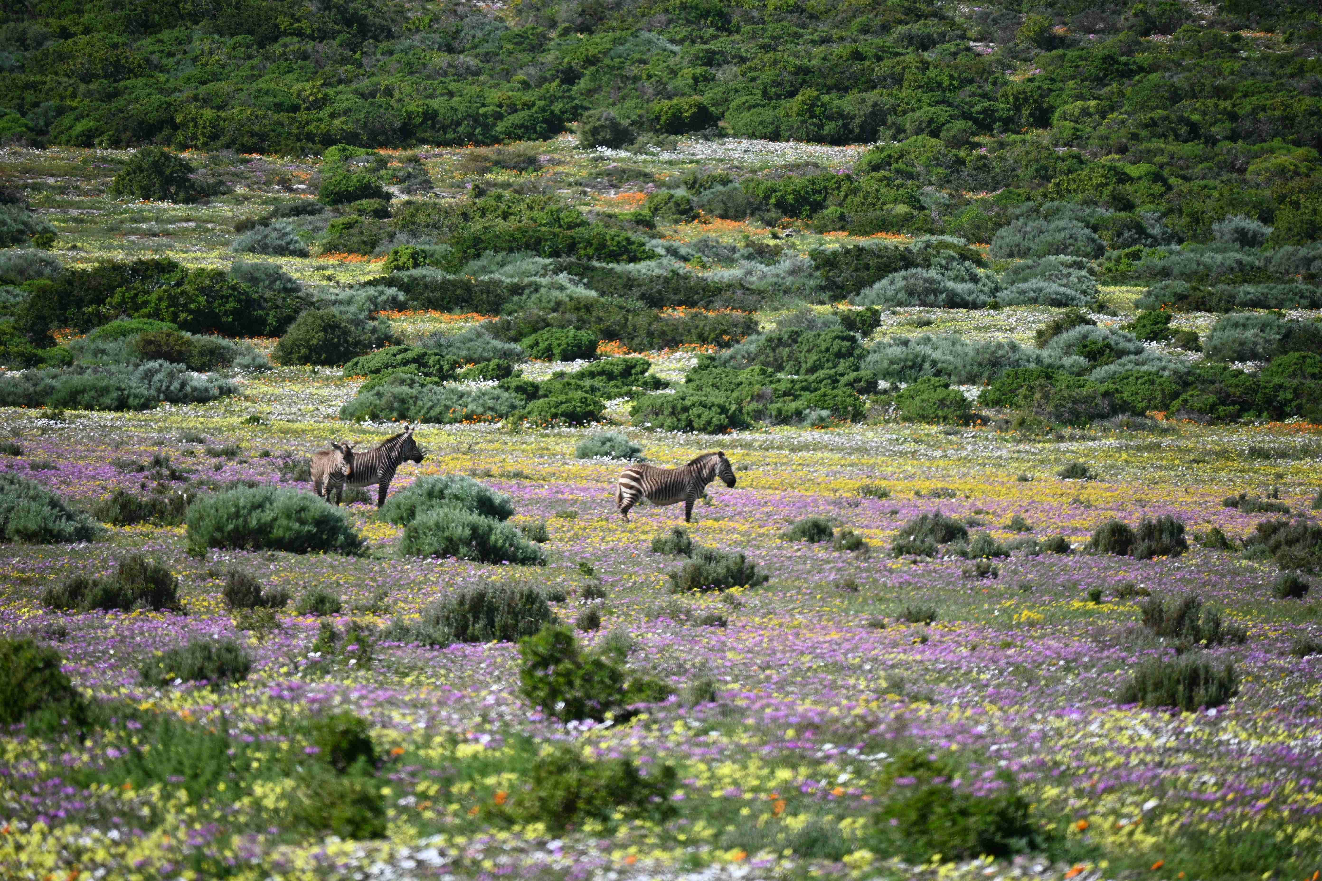Best Places to Visit in South Africa