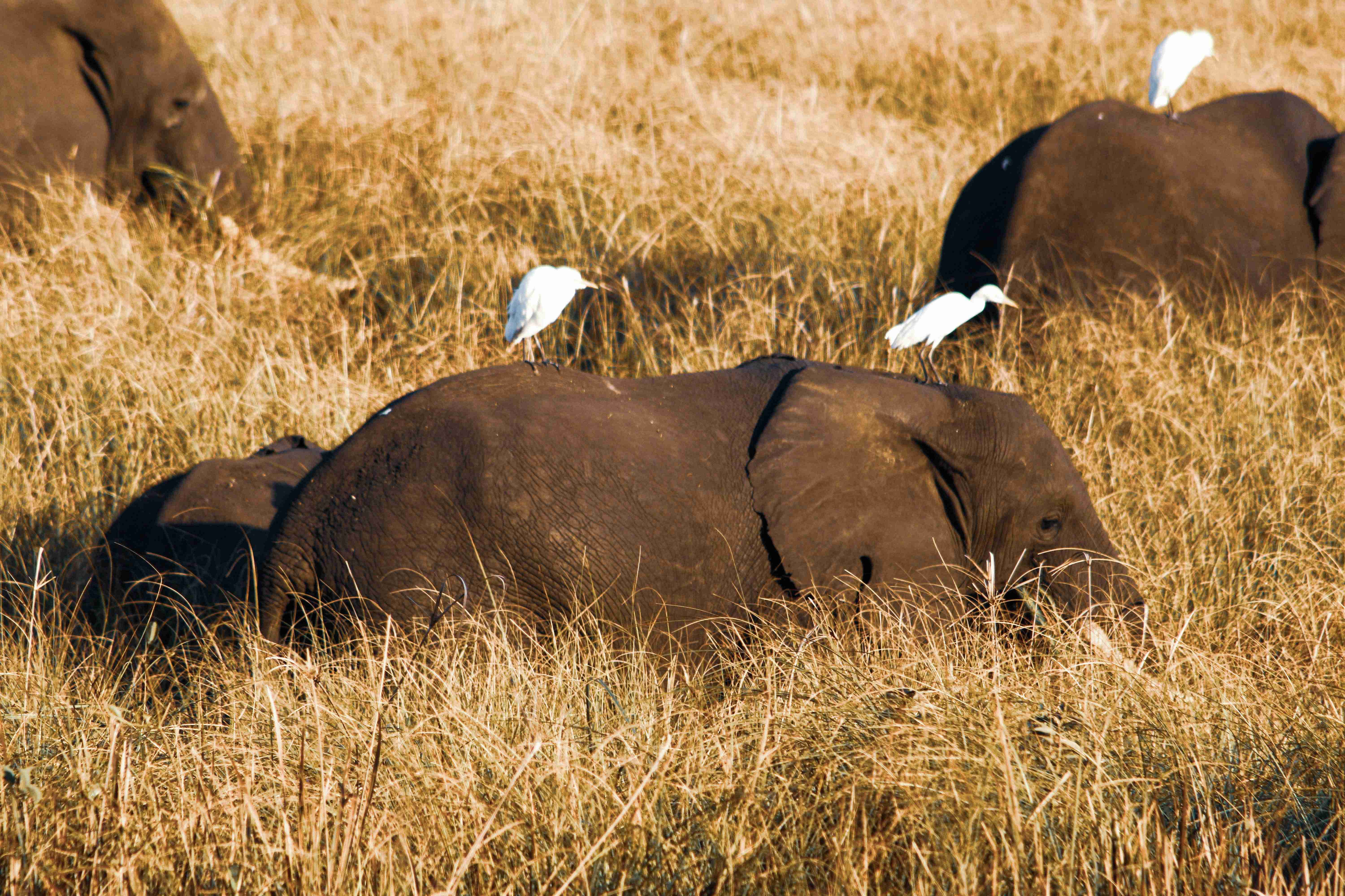 Unveiling Mozambique With the Four Best Road Trip Travel Itineraries