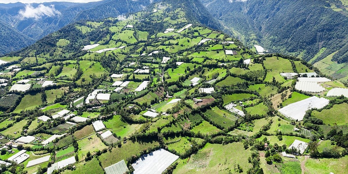 Ecuador Driving Guide