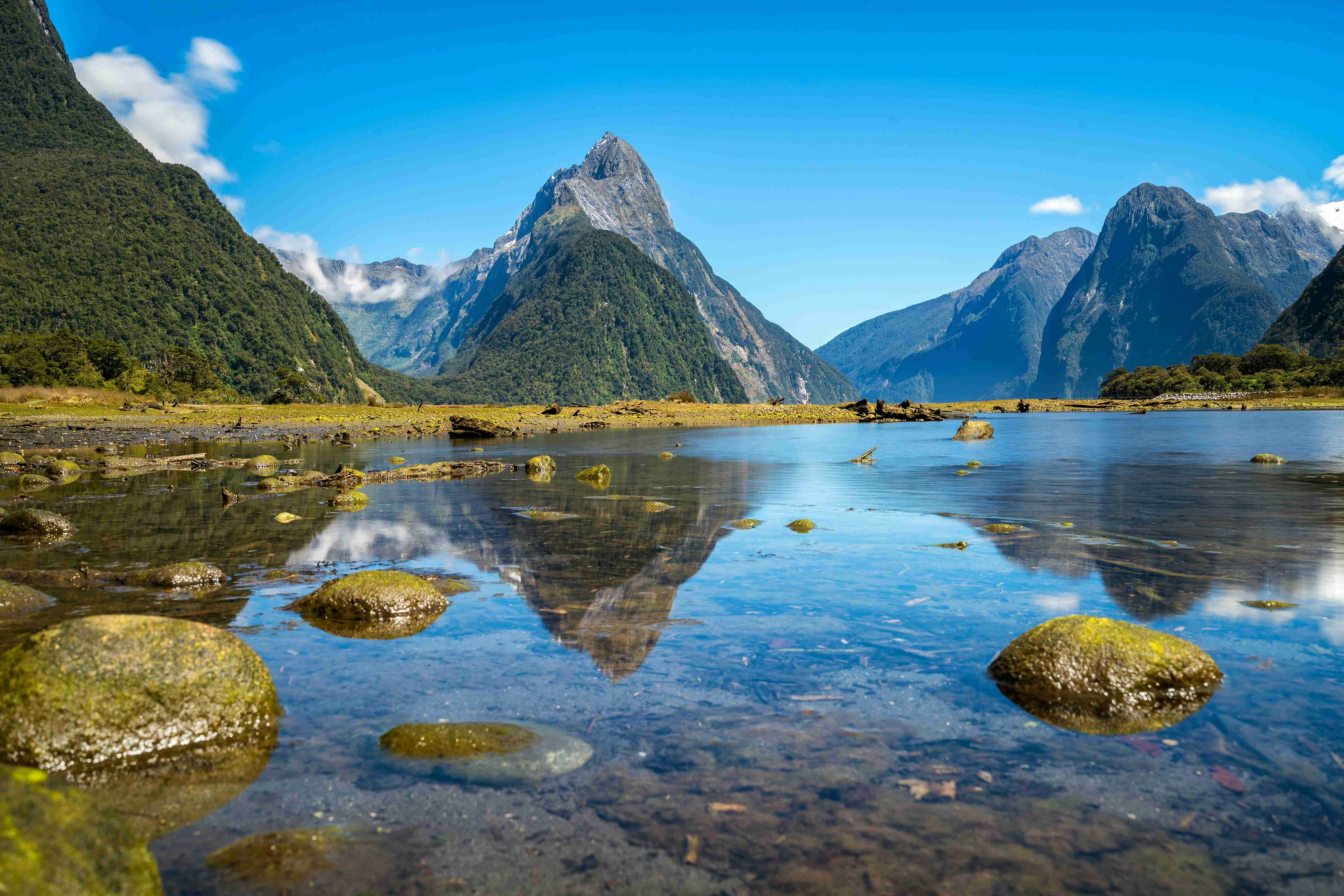 Things To Know Before Traveling to New Zealand: Essential Travel Guide