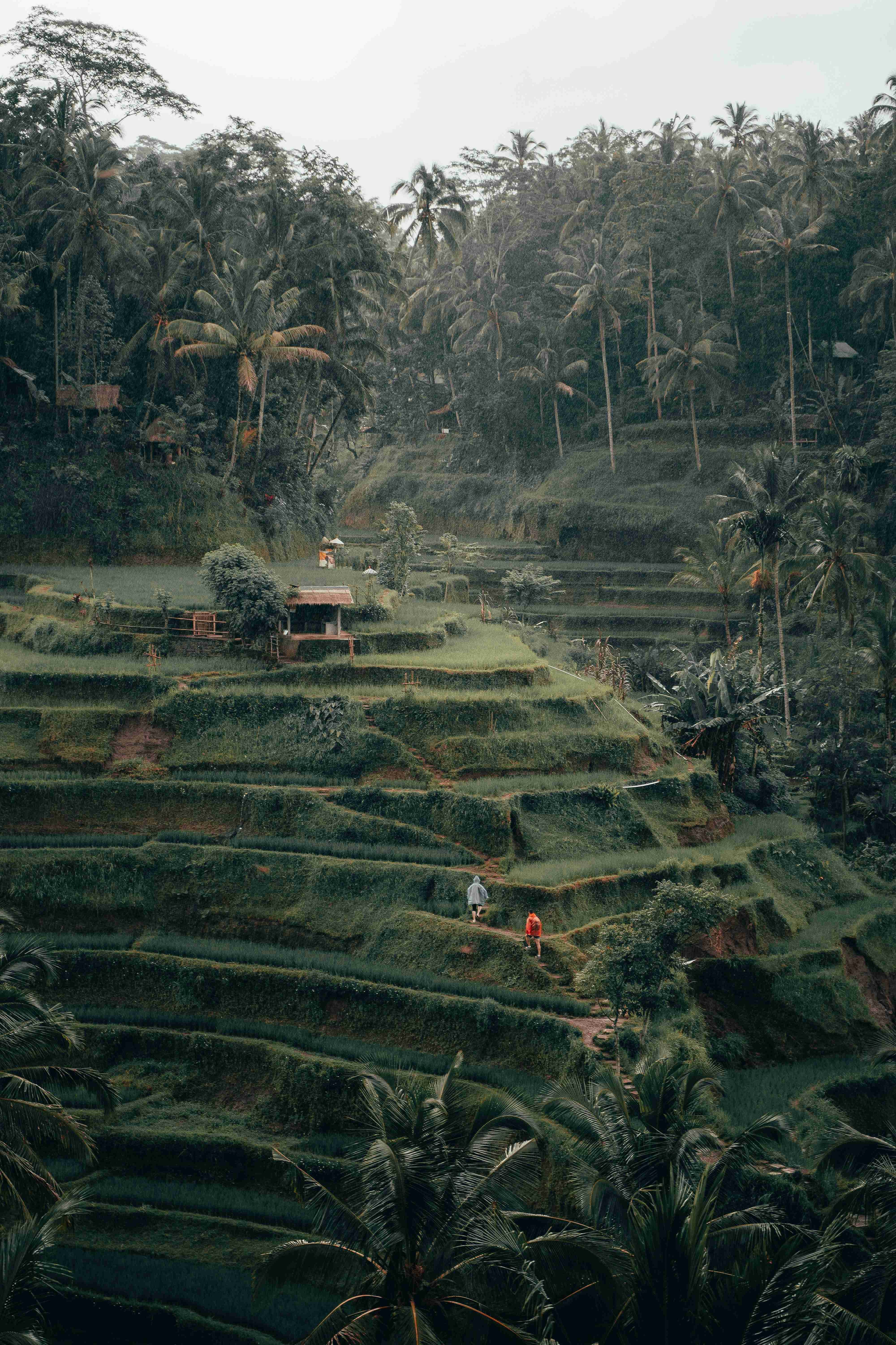 Best Things to Do in Bali