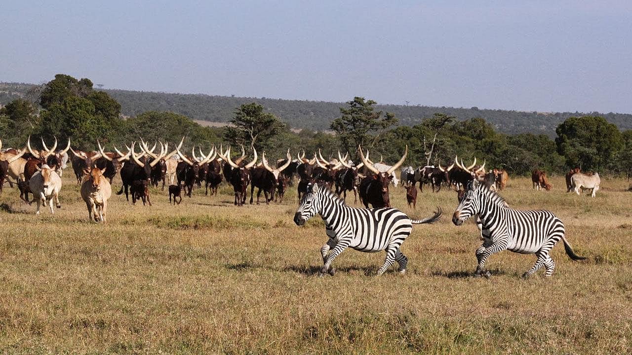 South Sudan Driving Guide
