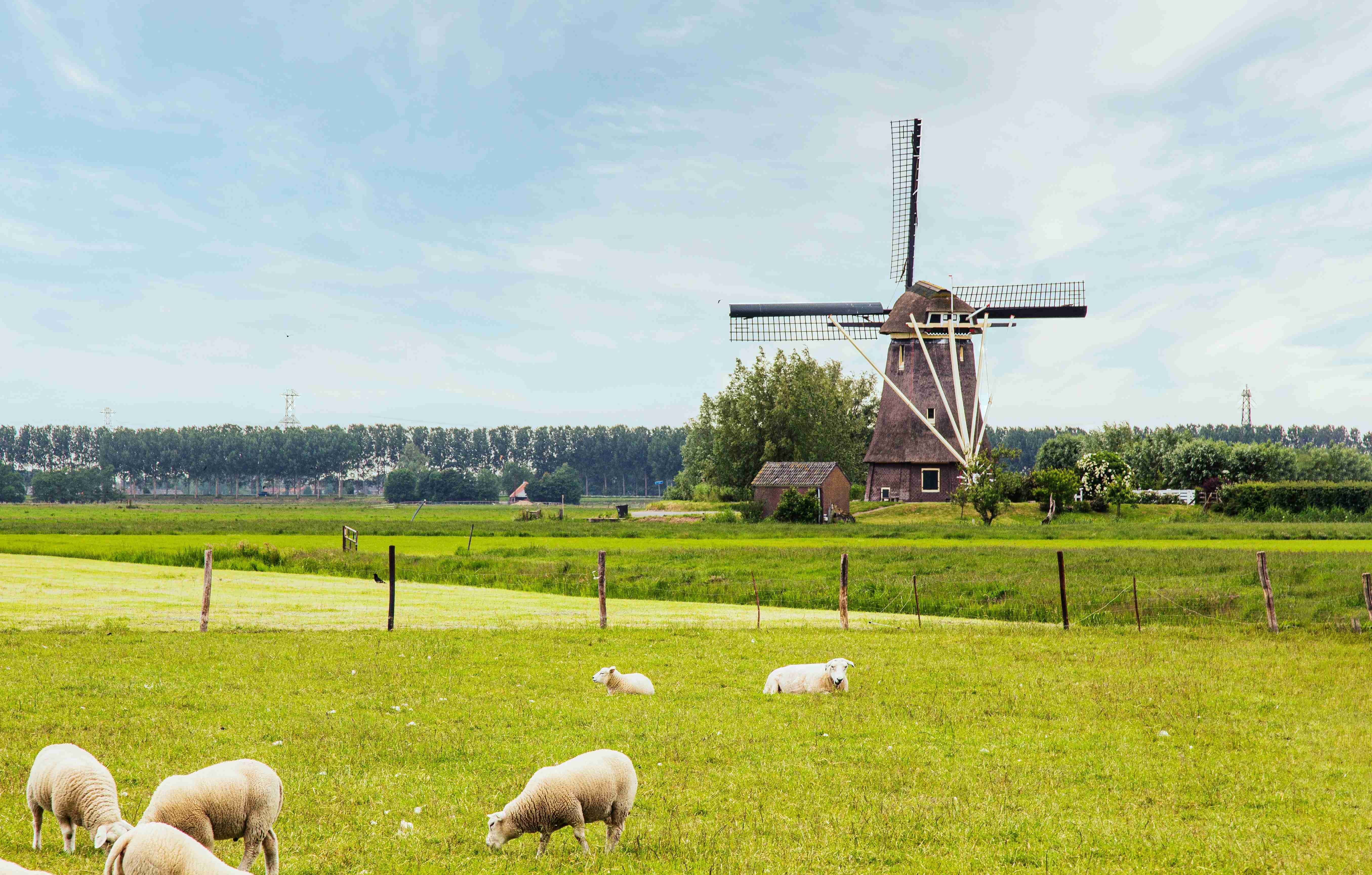 Best Places to Visit in Netherlands