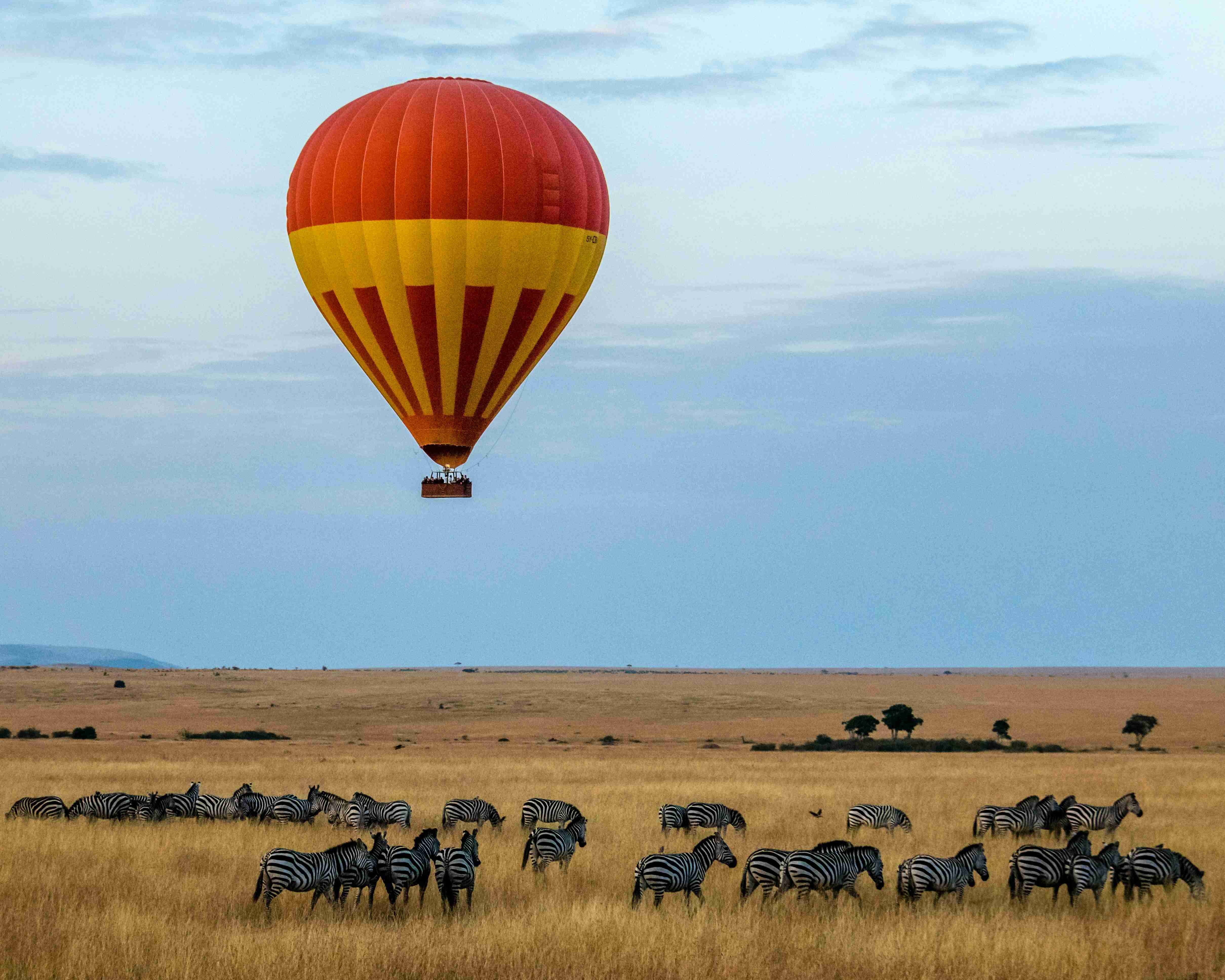 Requirements Before Traveling to Kenya – 2024 Travel Checklist