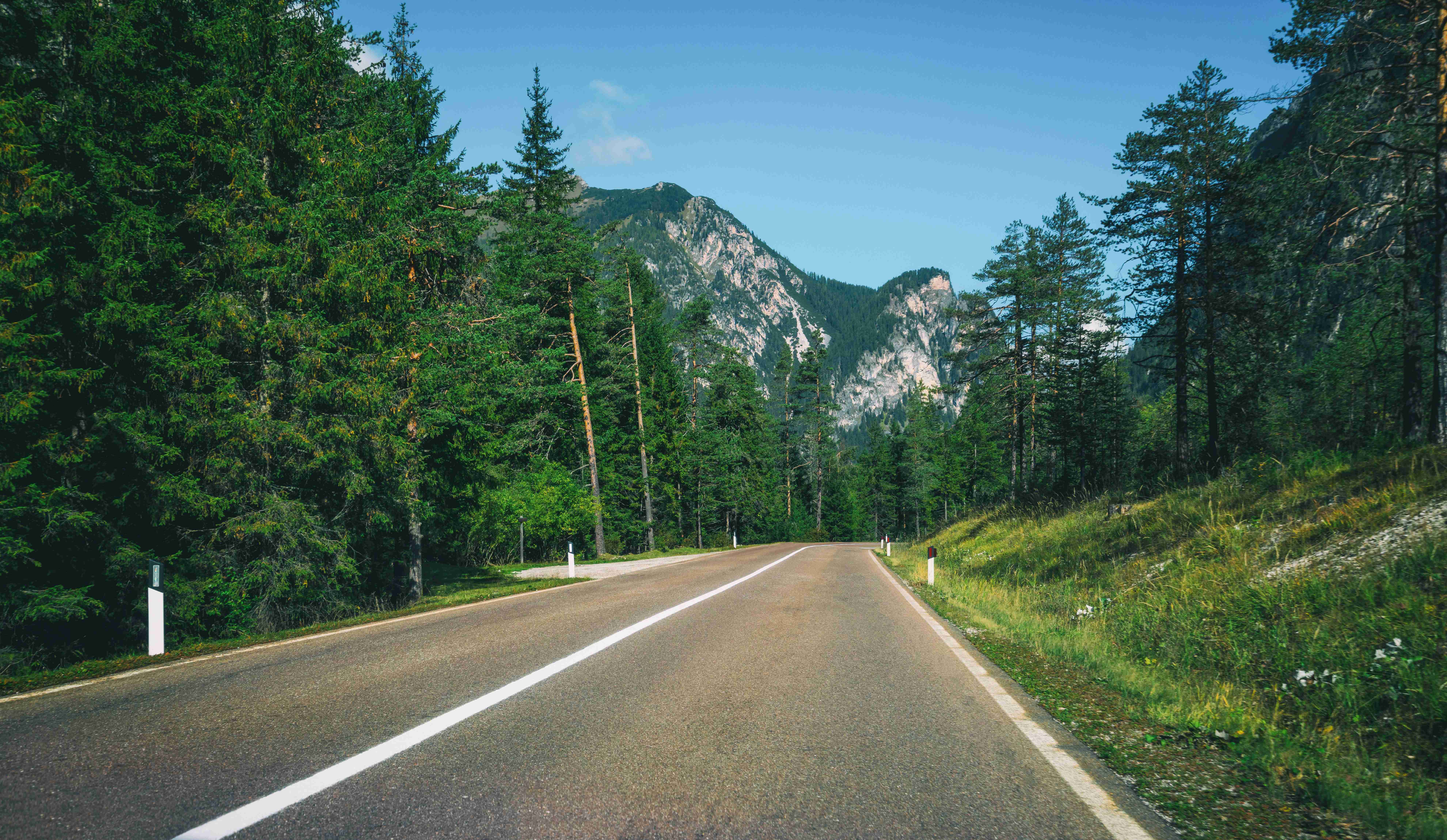 Green Wheels: Your Ultimate Guide to Eco-Friendly Road Trips