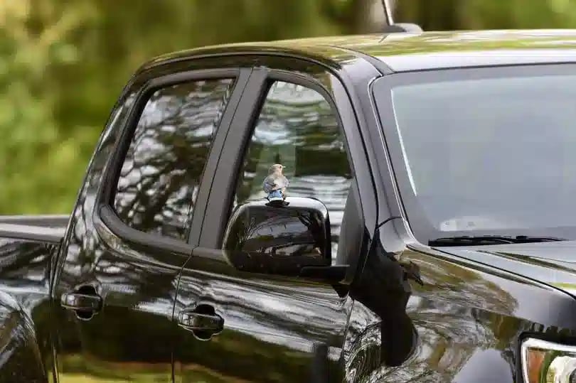 Introduction to International Driver's Permits: Why You Need One and How To Get One