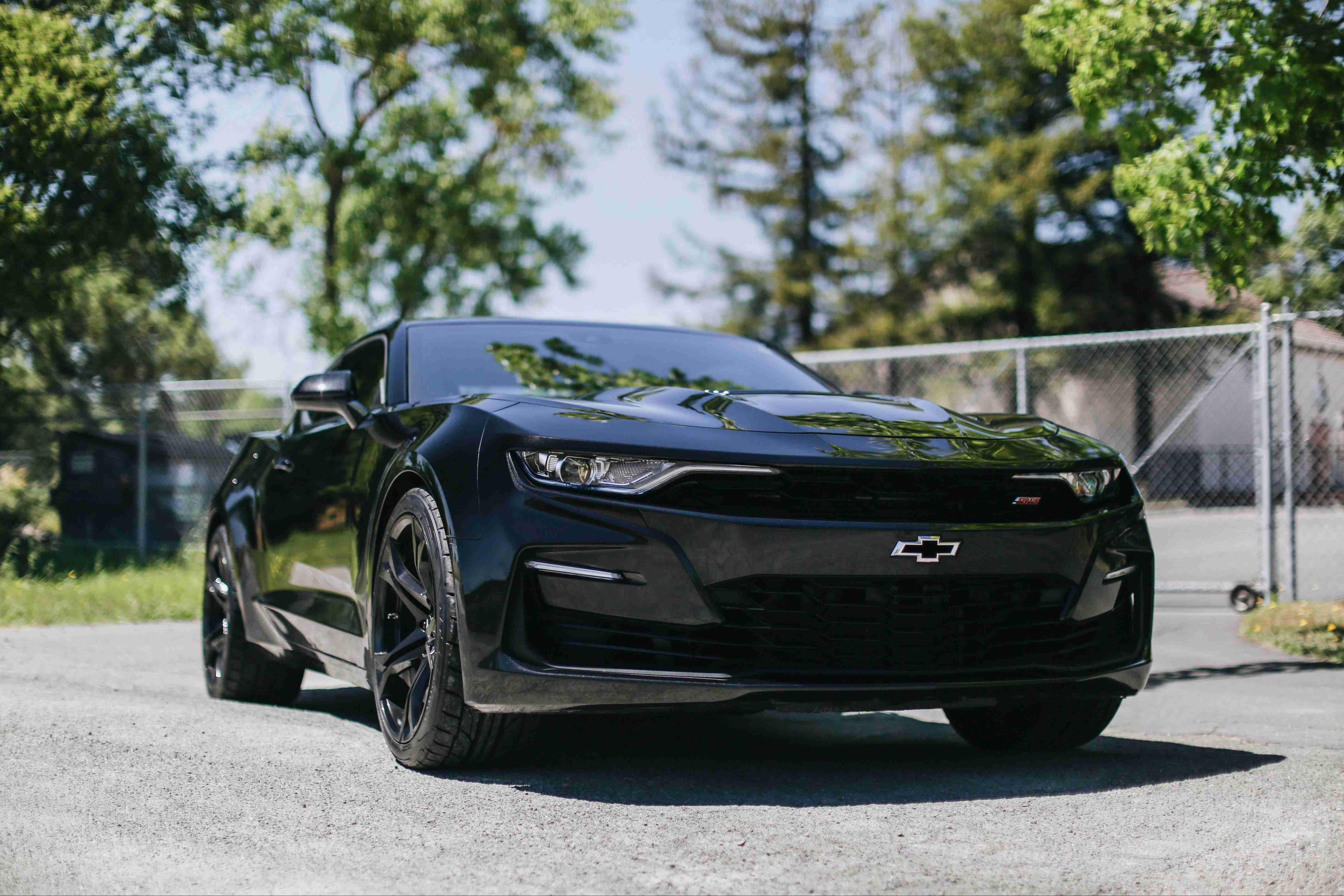 Best Car Rental in Qatar