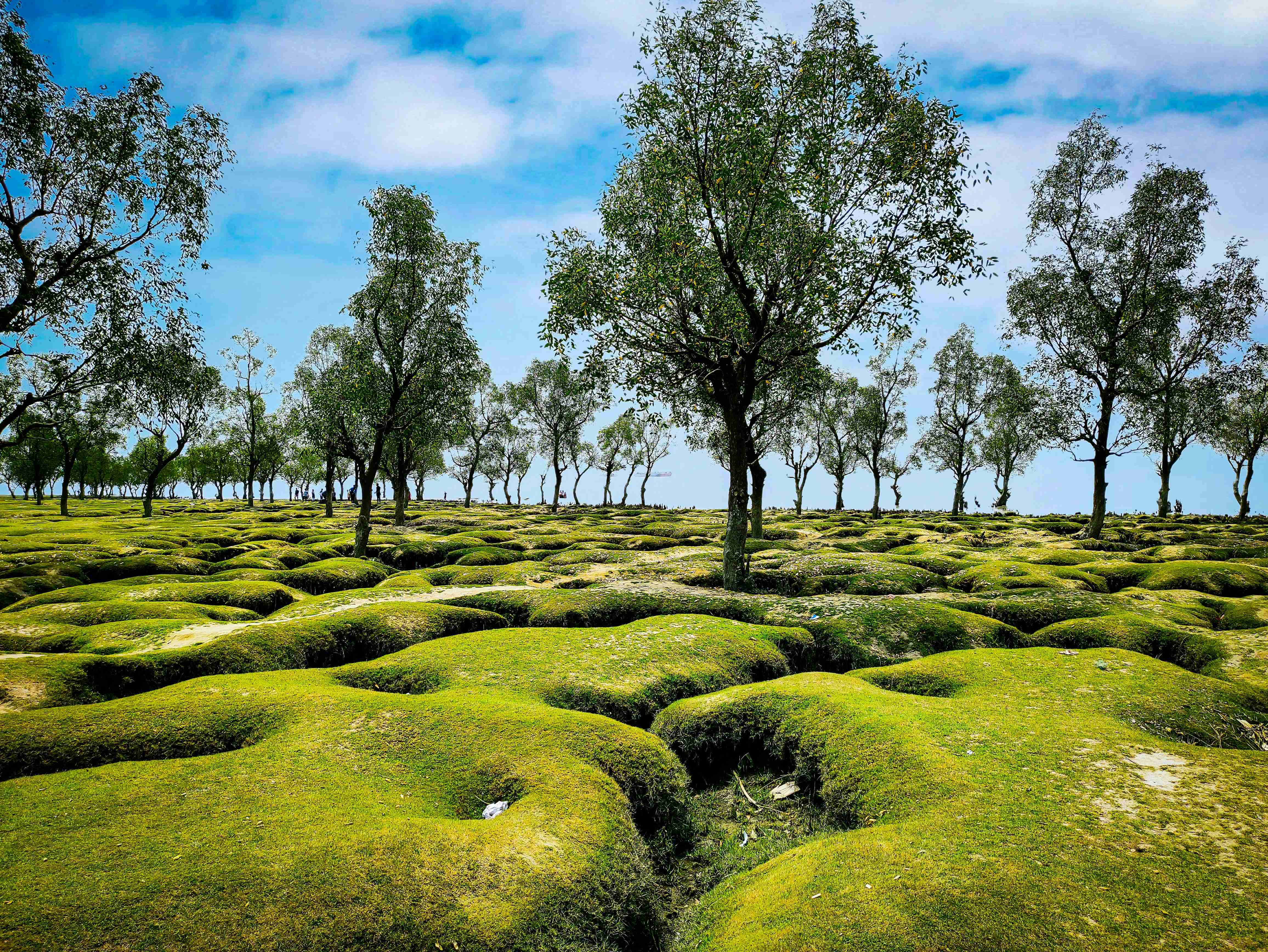 The Best Time to Visit Bangladesh