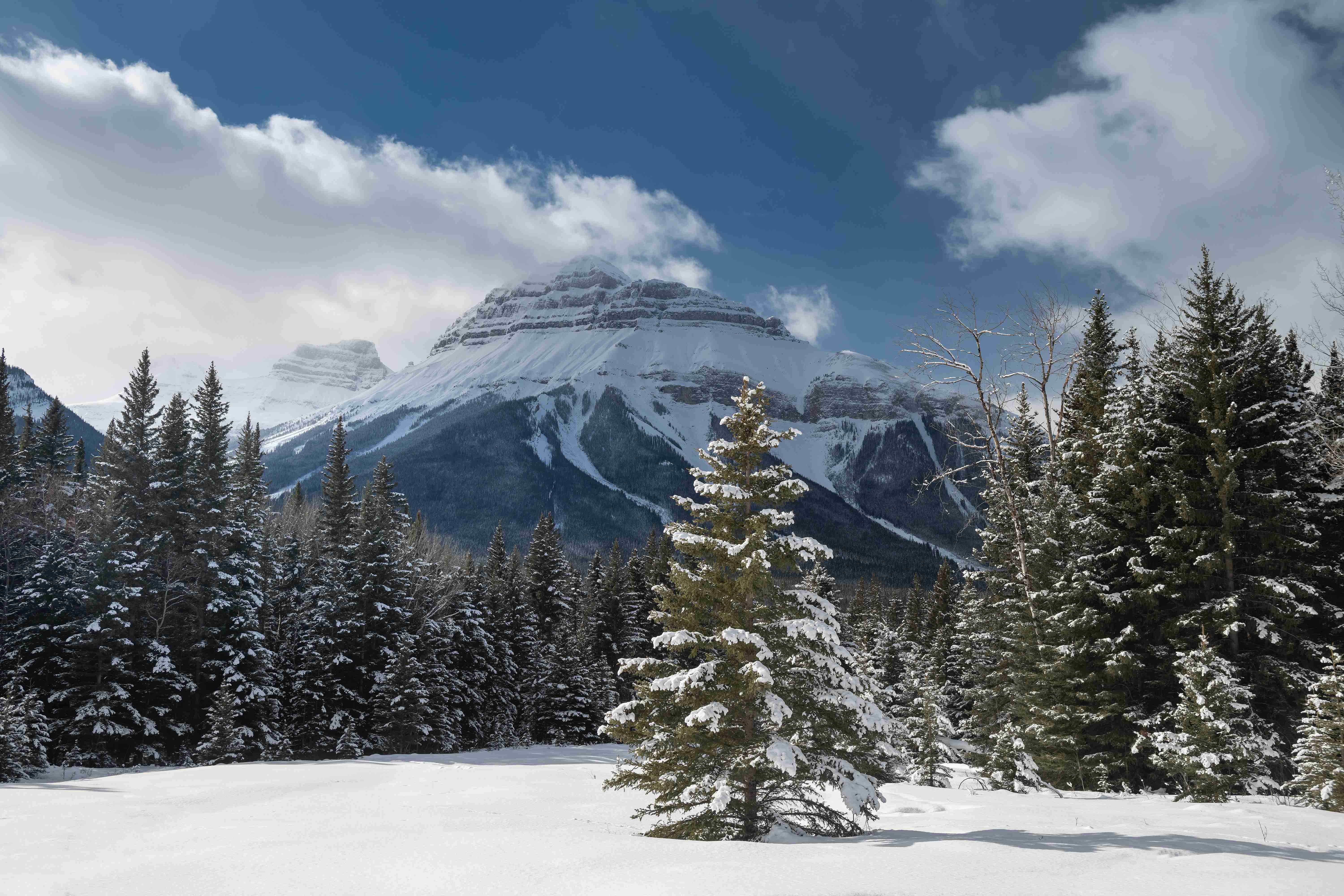 Embracing Winter's Beauty: A Canadian Road Trip Itinerary to Winter’s Best Destinations