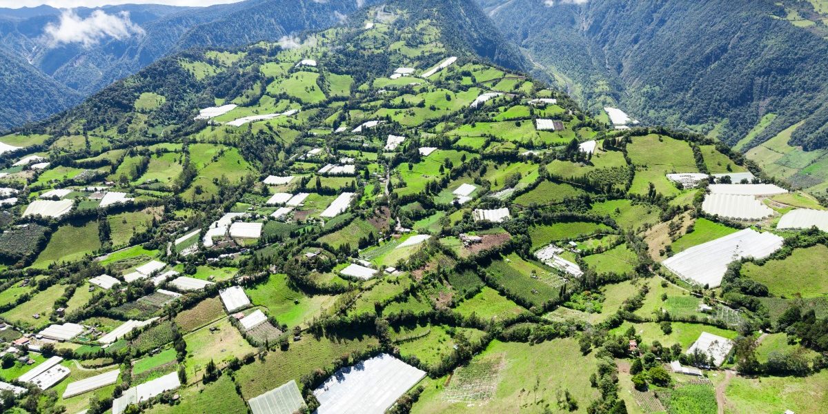 Ecuador Driving Guide