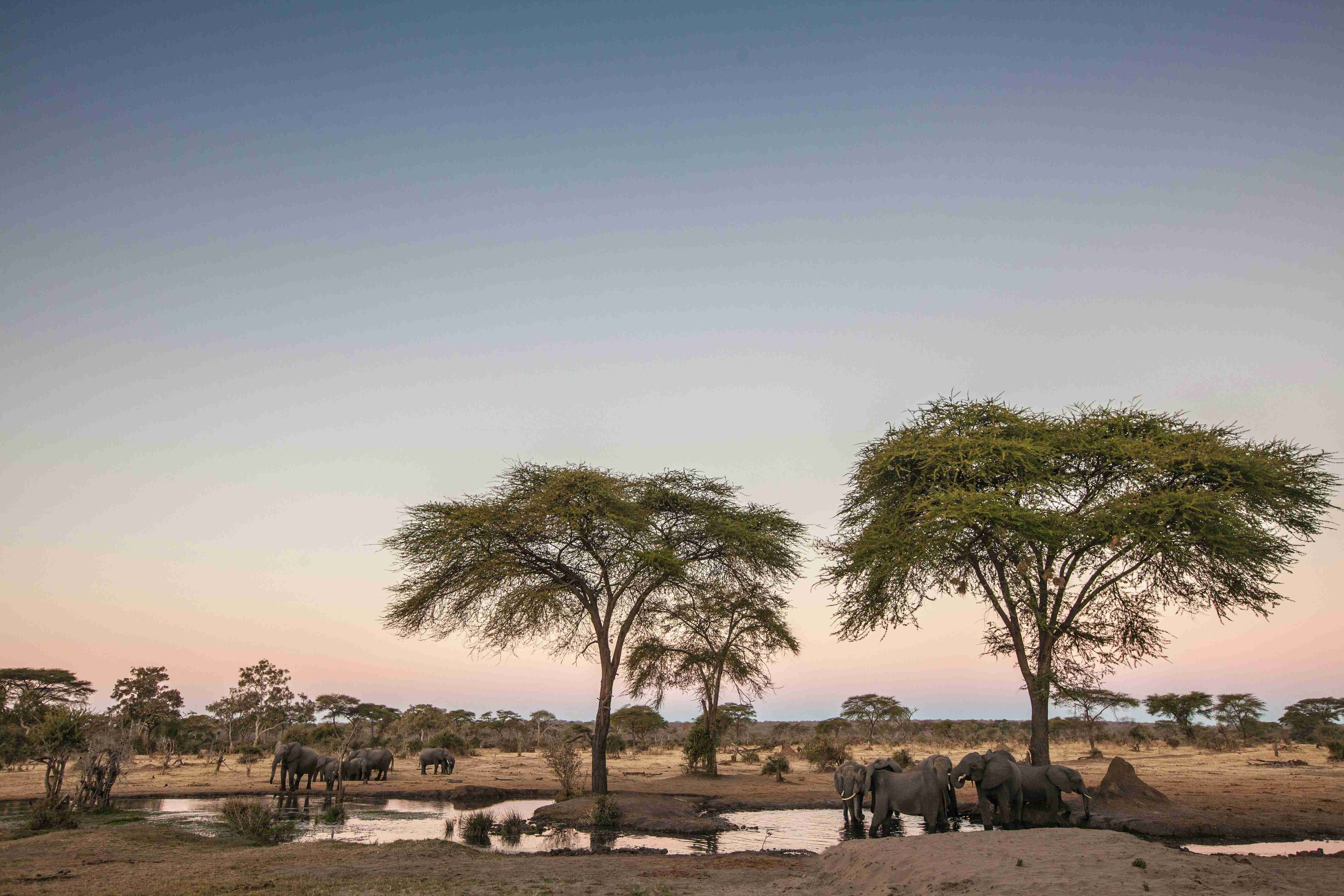 From Spice Routes to Serengeti: Your Ultimate Tanzania Safari Itinerary Map