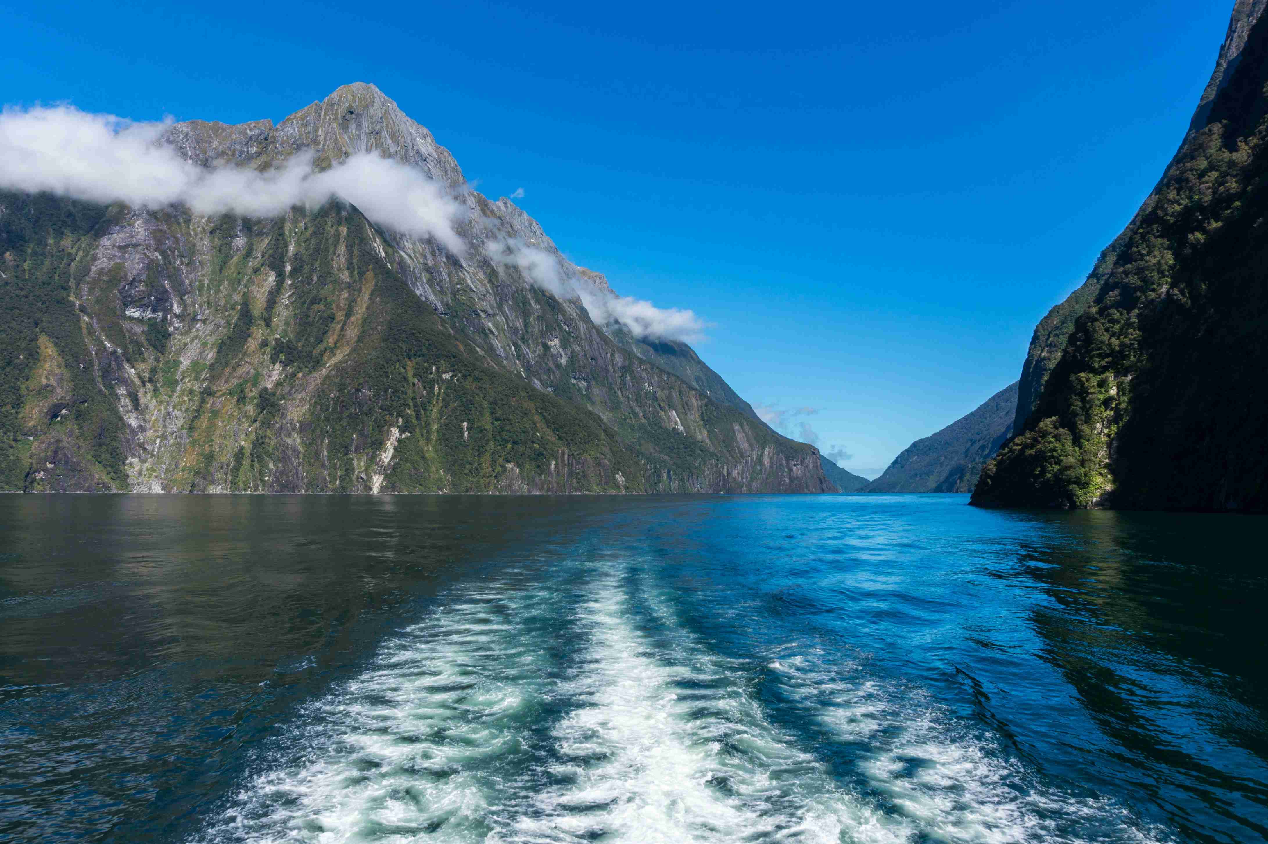 A Tale of the North and South Islands: A New Zealand Road Trip Itinerary to Discover New Zealand Highlights