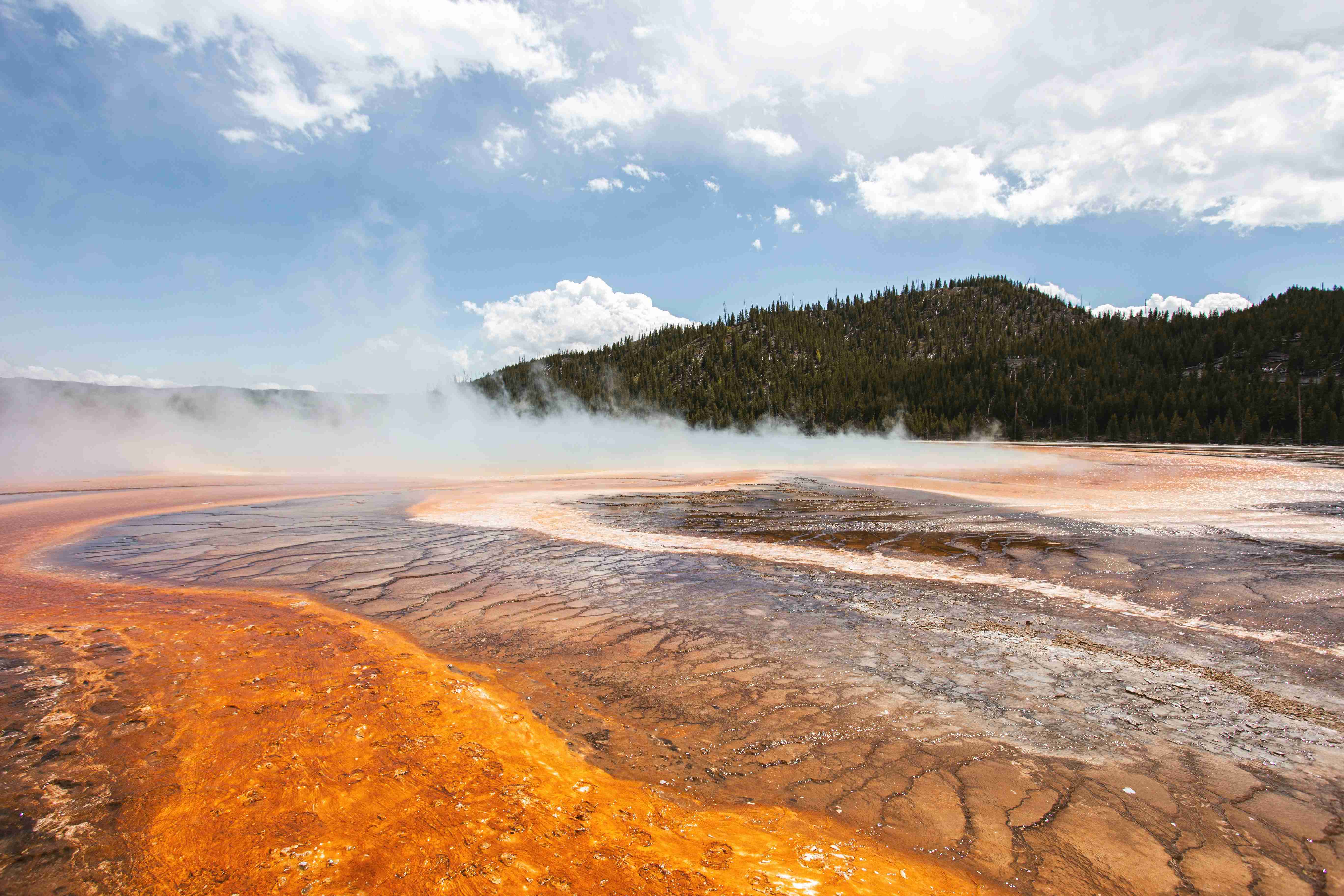 Visiting Yellowstone this Winter? Here’s What to Know About Road Closures