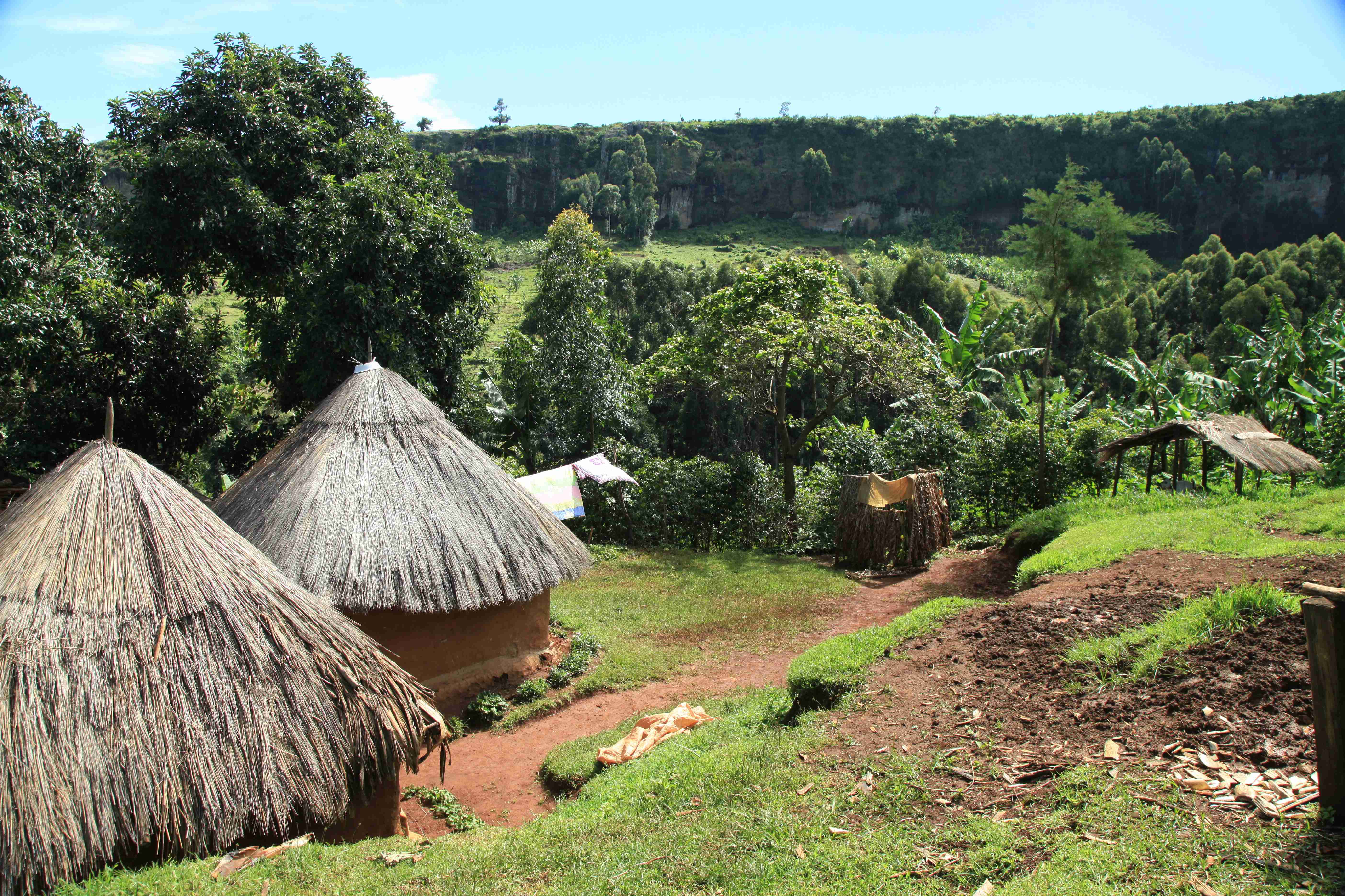 Planning Your Escapade: Choosing the Best Months to Visit Uganda and Routes to Follow