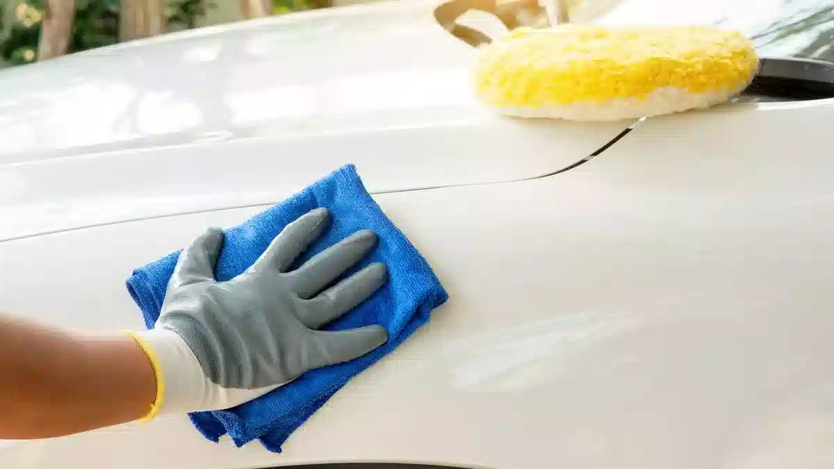 Drivers warned that tree sap and bird poo could land them with a hefty repair bill or a fine