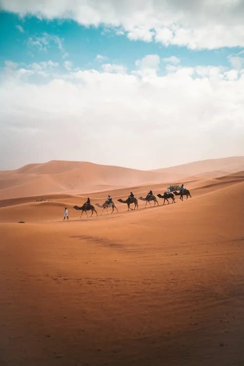 Kameelkaravaan die door de Sahara-woestijn reist