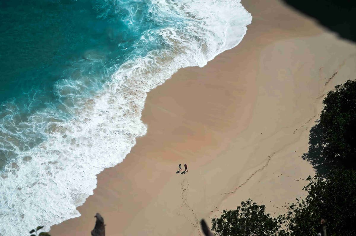 Aerial View Surfers On Secluded Beach