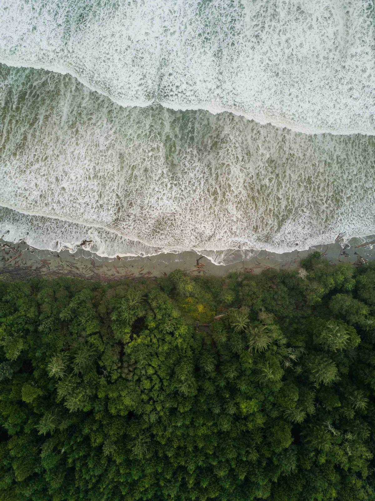 Arial View of Coastline with Foamy Waves Meeting Green Forest