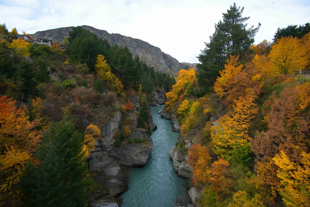 Autumn Colors Along River Gorge