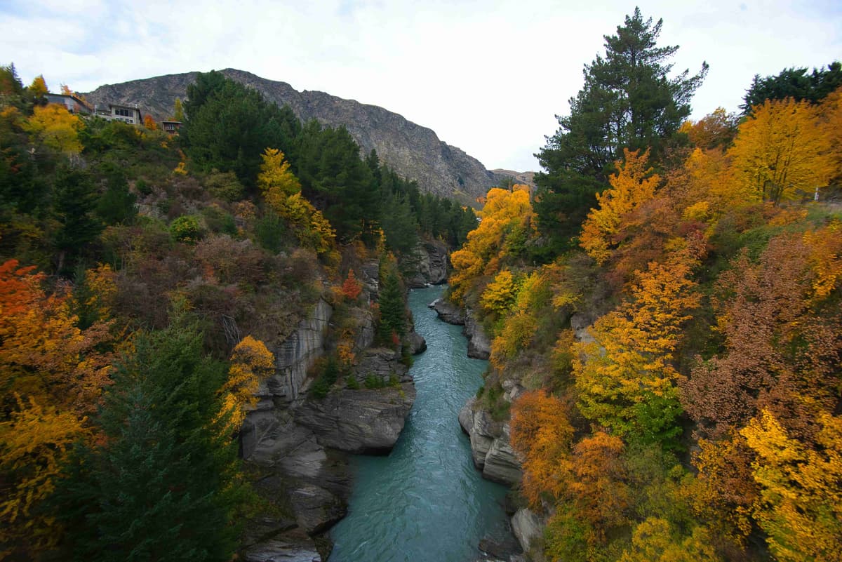 Couleurs d'automne le long des gorges de la rivière