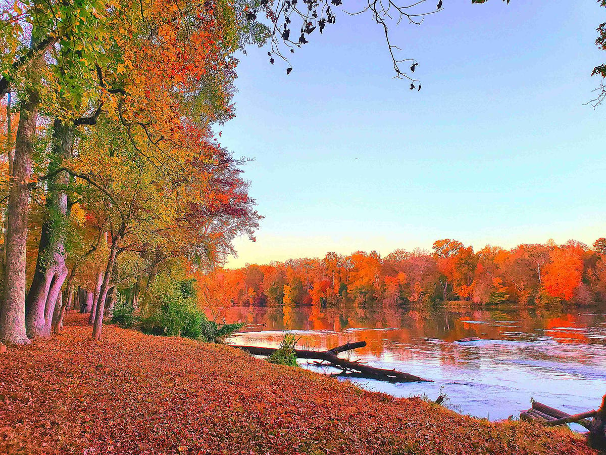 Autumn Foliage Along Riverbank at Sunset