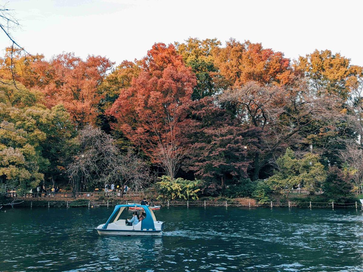 Autumn Foliage and Pedal Boat on Lake