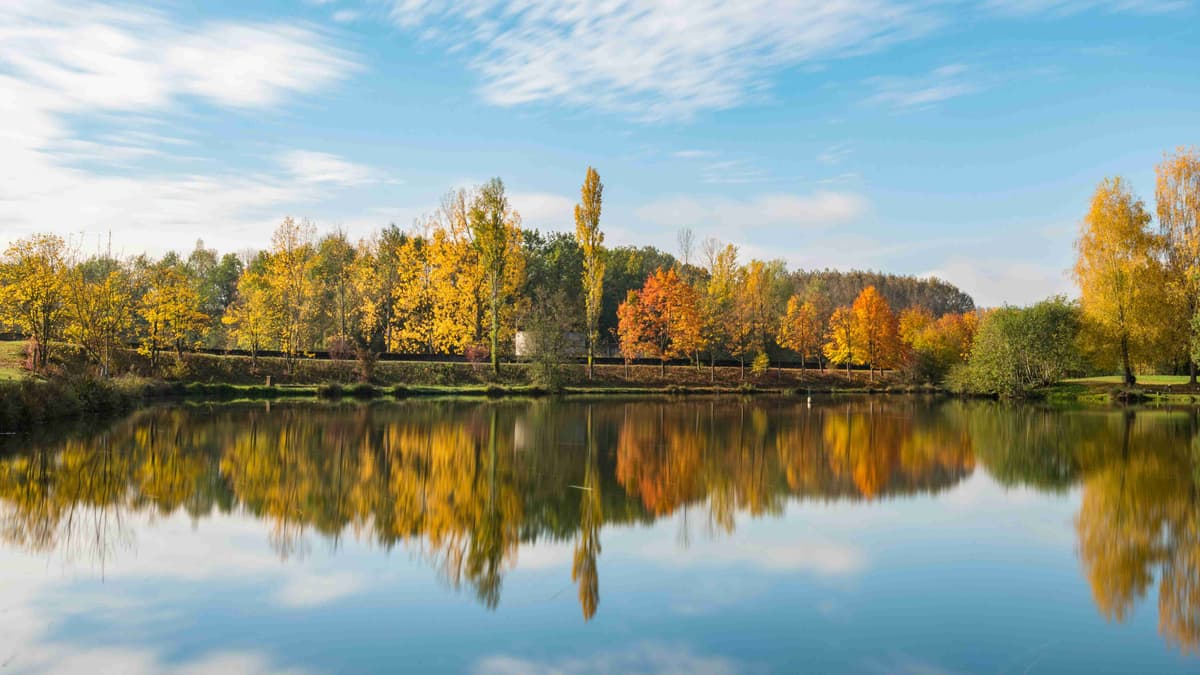 Autumn Reflections On Lake