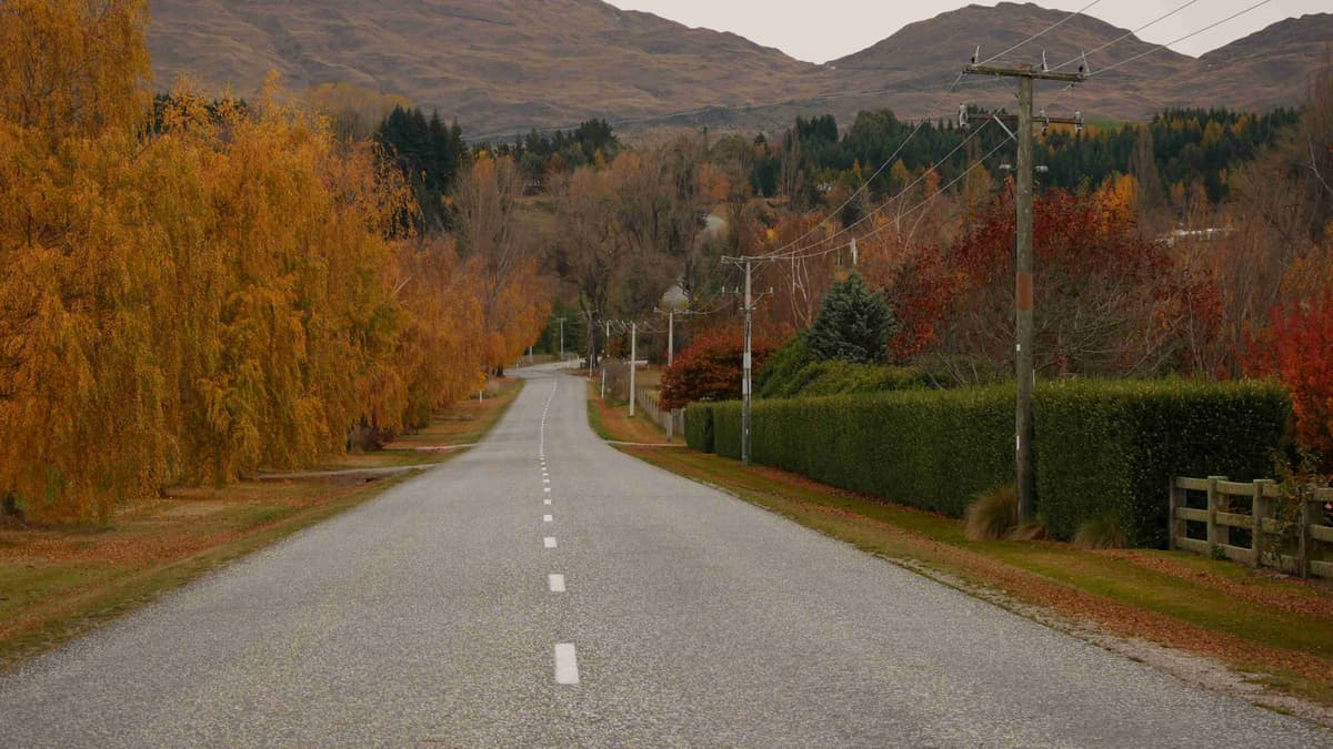 Осенняя дорога в сельской местности