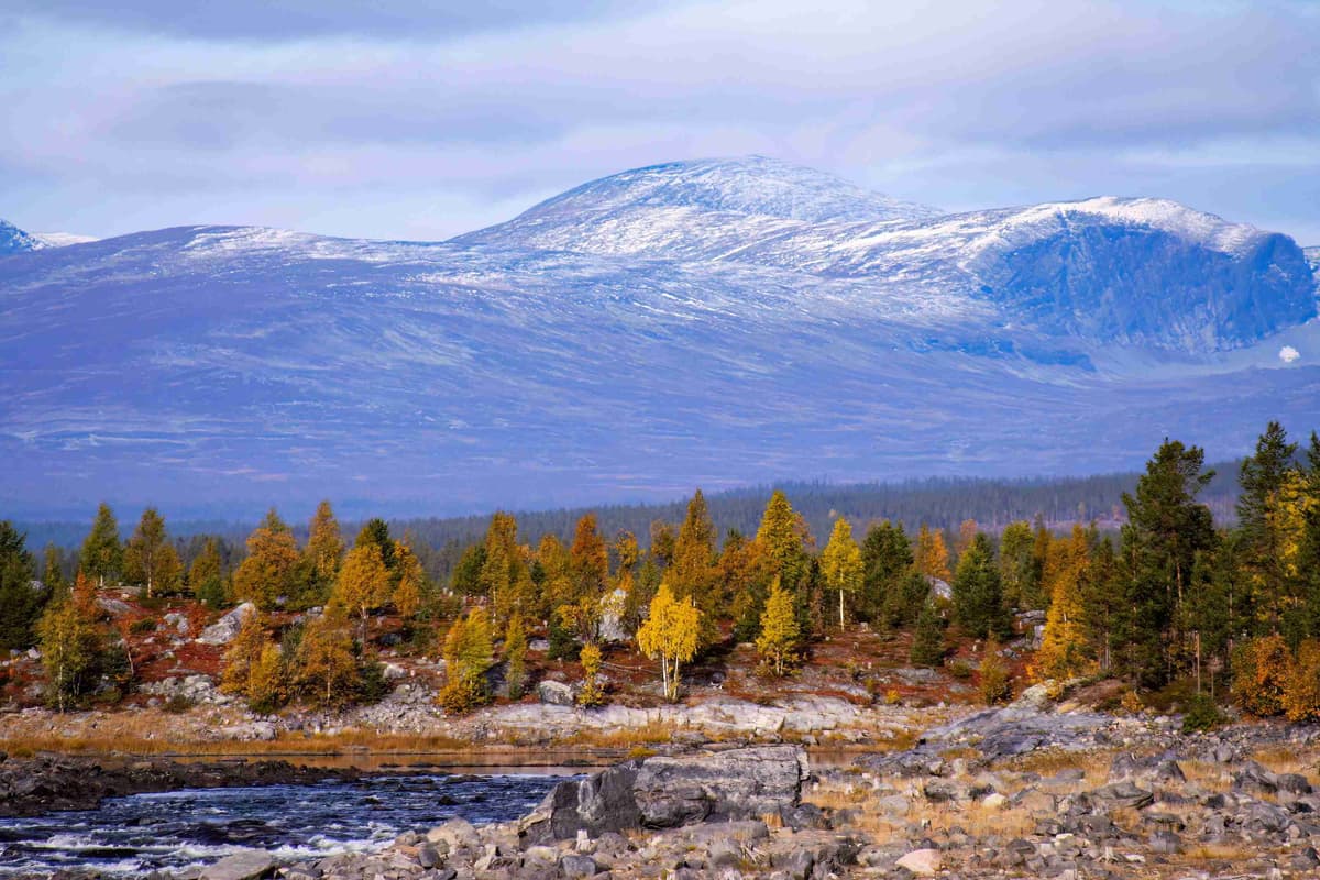 Podzimní tundra s pozadím zasněžené hory