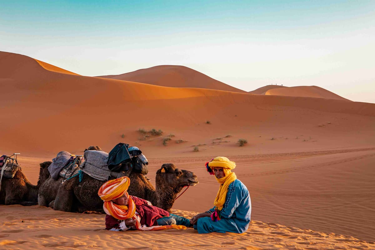 Kaamelgiid puhkab päikeseloojangul Sahara luidetes