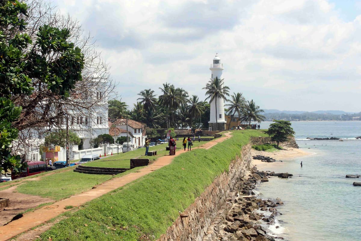 Coastal Lighthouse with Tropical Foliage